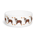 Ceramic Pet Bowl – 16 oz Dog Feeding Bowl