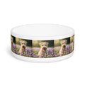 Ceramic Pet Bowl – 16 oz Dog Feeding Bowl