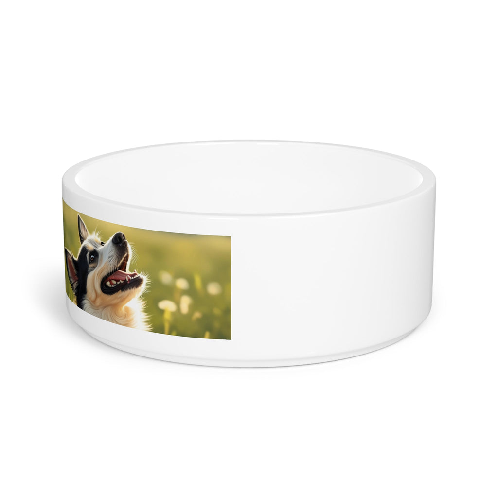 Ceramic Pet Bowl – 16 oz Dog Feeding Bowl