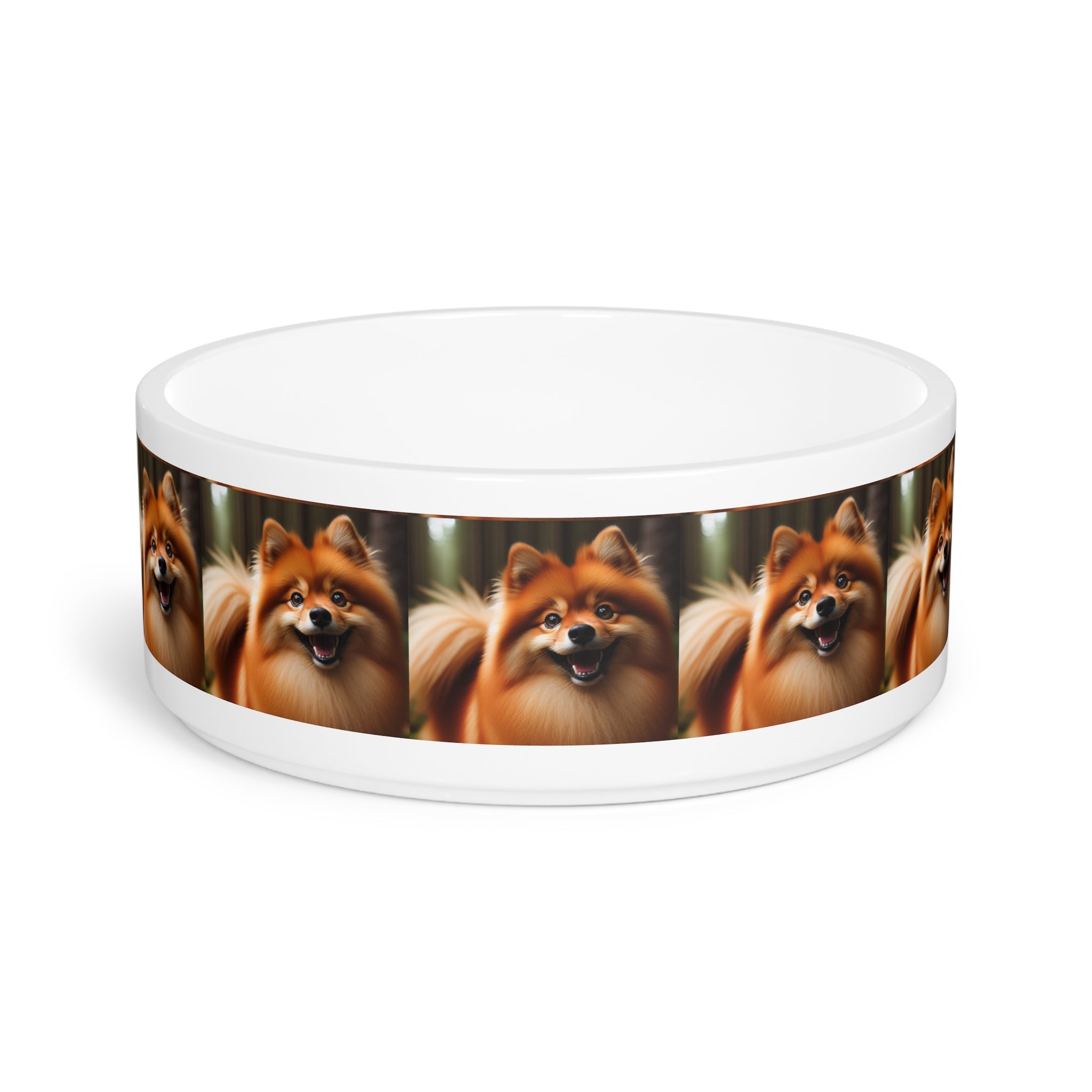 Ceramic Pet Bowl – 16 oz Dog Feeding Bowl