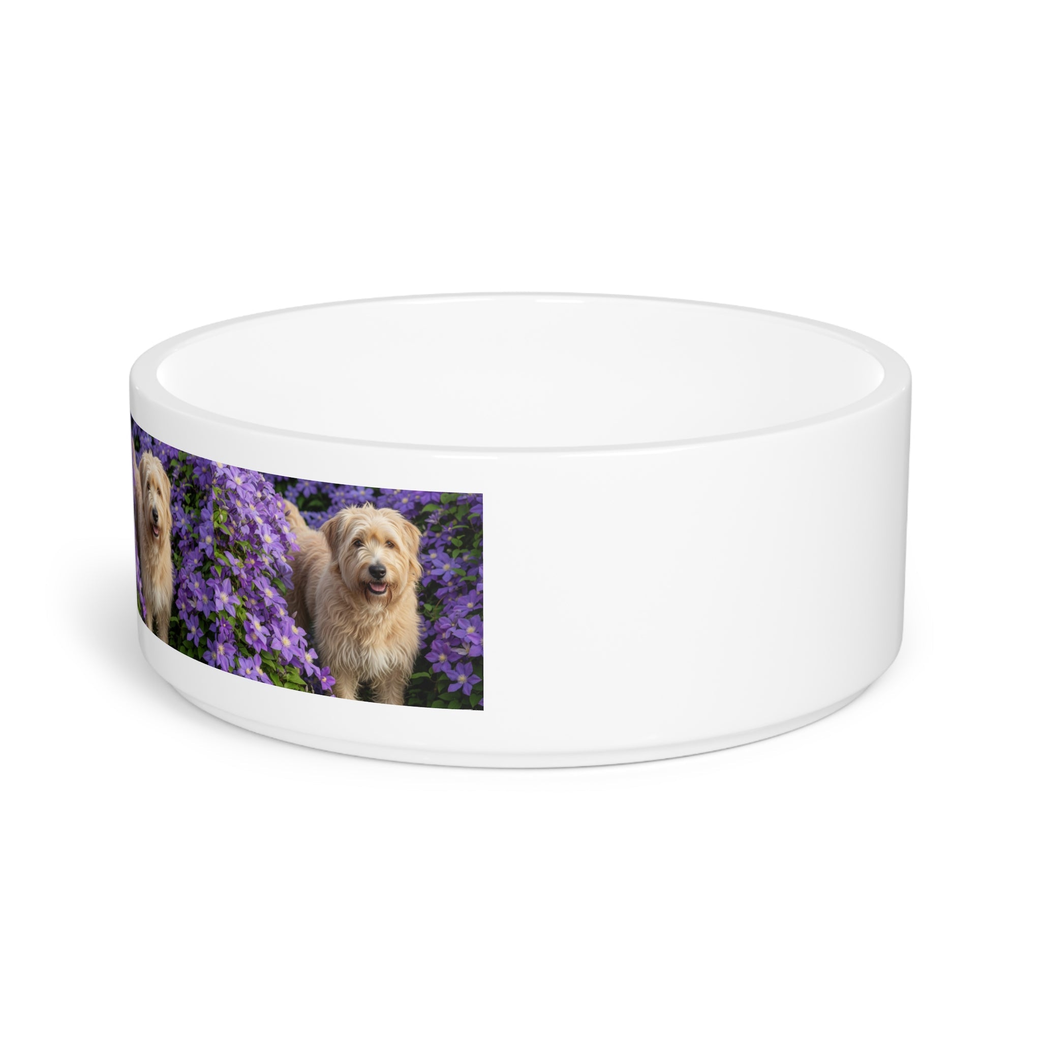 Ceramic Pet Bowl – 16 oz Dog Feeding Bowl