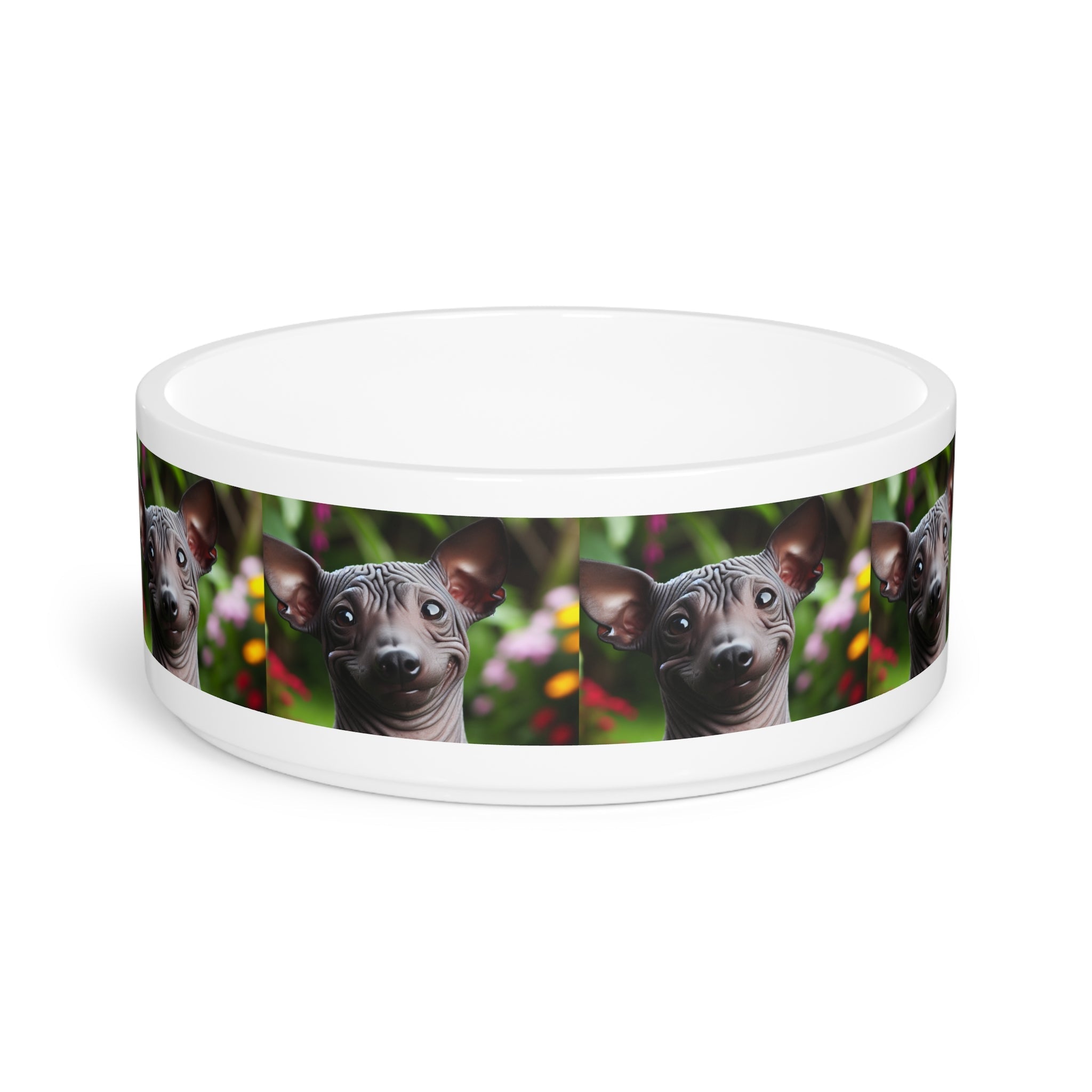 Ceramic Pet Bowl – 16 oz Dog Feeding Bowl