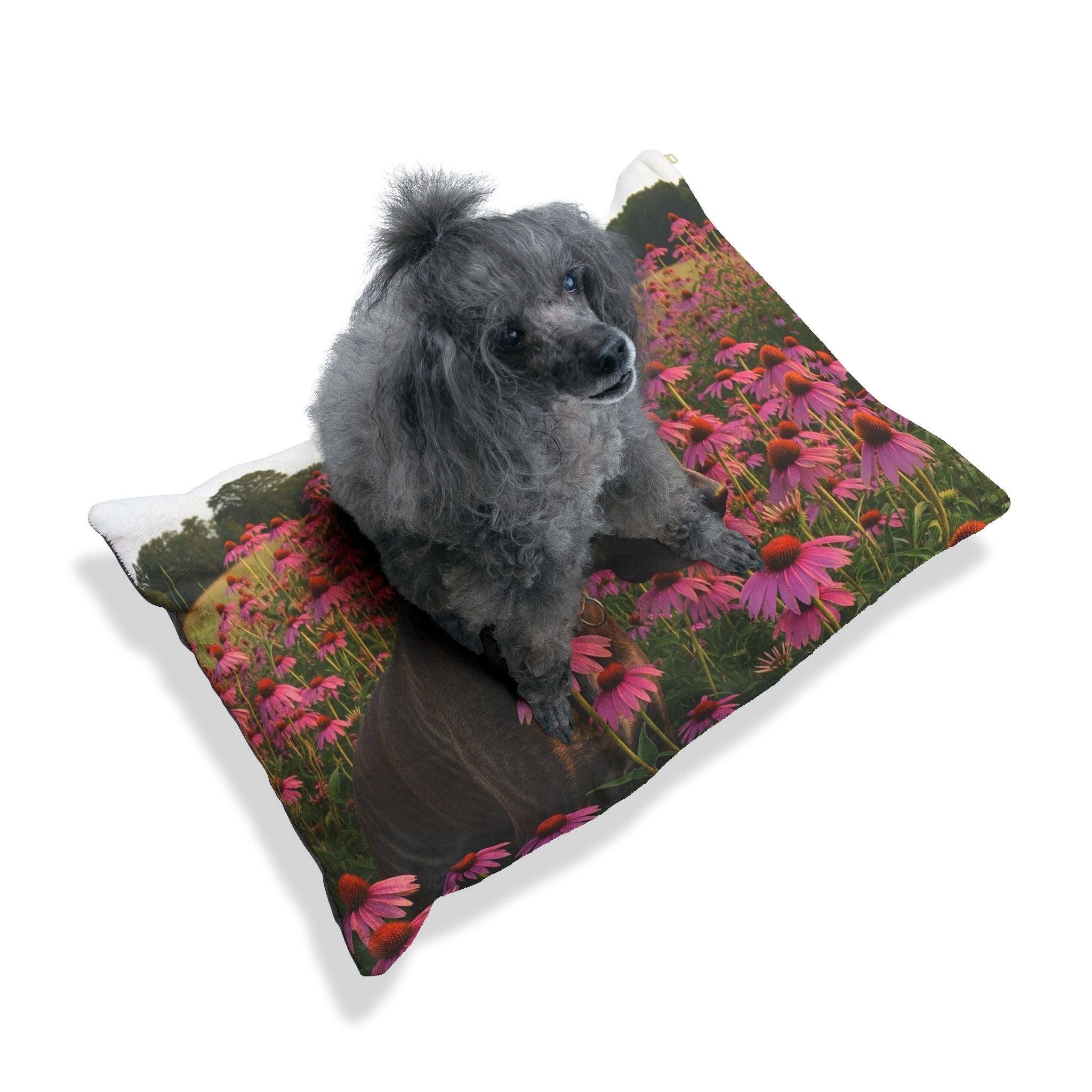 Pet Bed – Plush Dog Bed, 3 Size Options