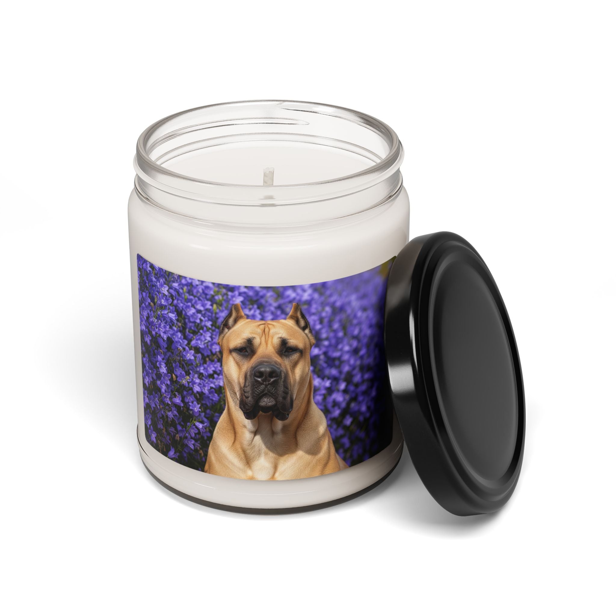 Soy Candle – Scented Jar Candle
