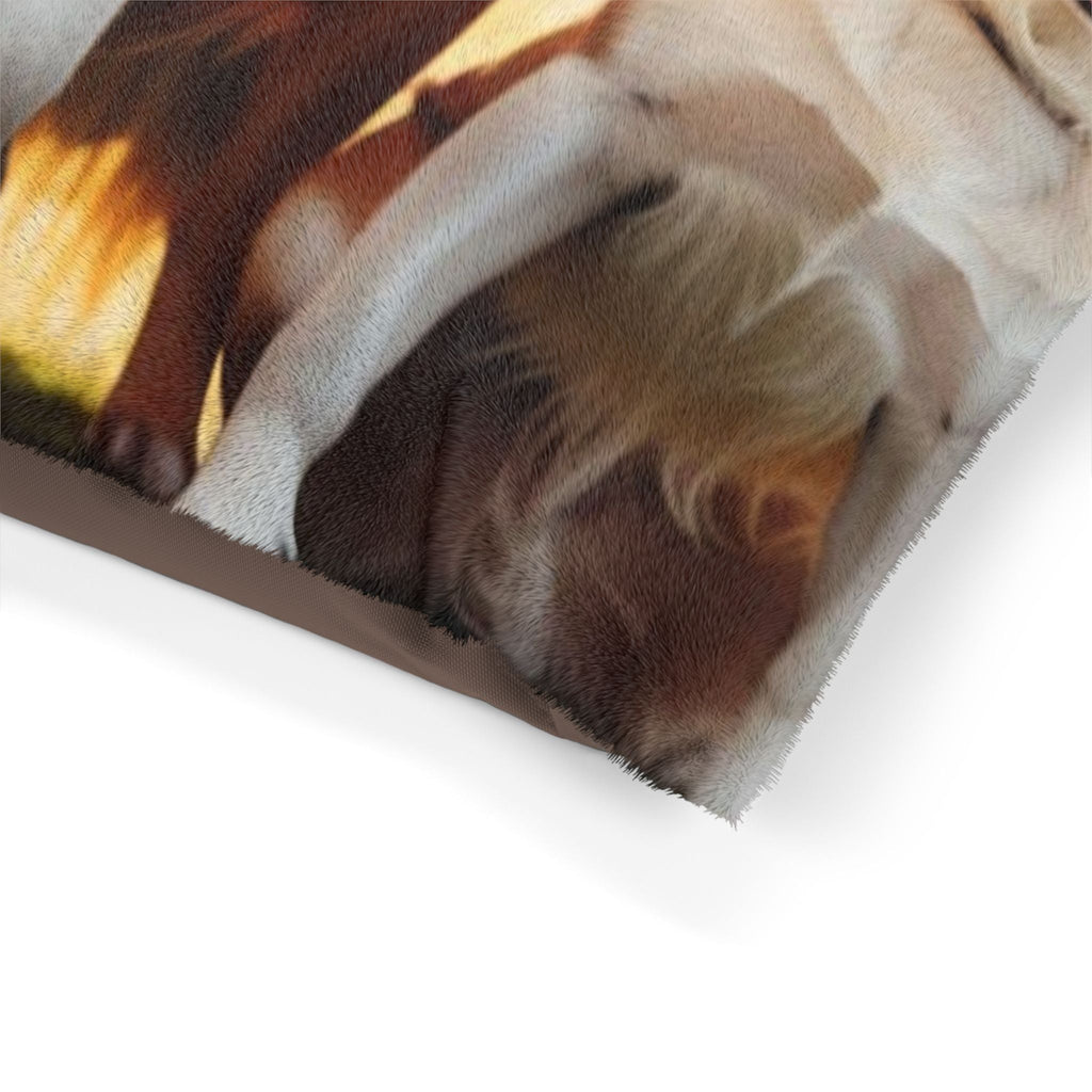 Pet Bed – Plush Dog Bed, 3 Size Options