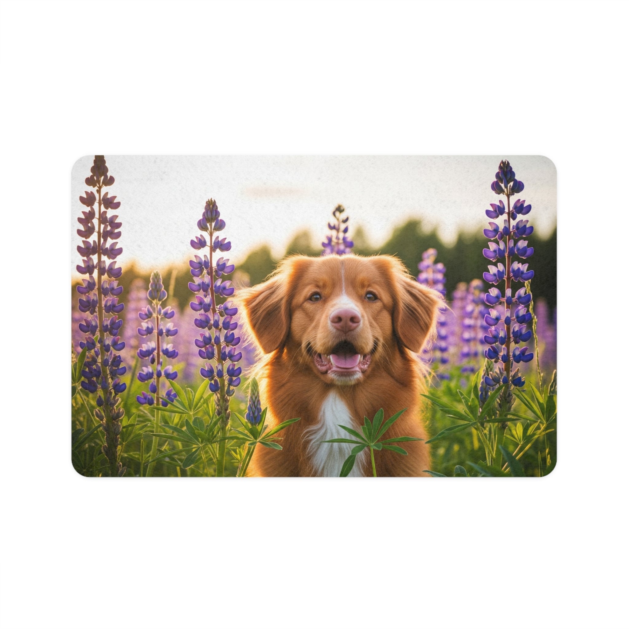 Non-Slip Pet Food Mat – Waterproof Feeding Mat for Dogs