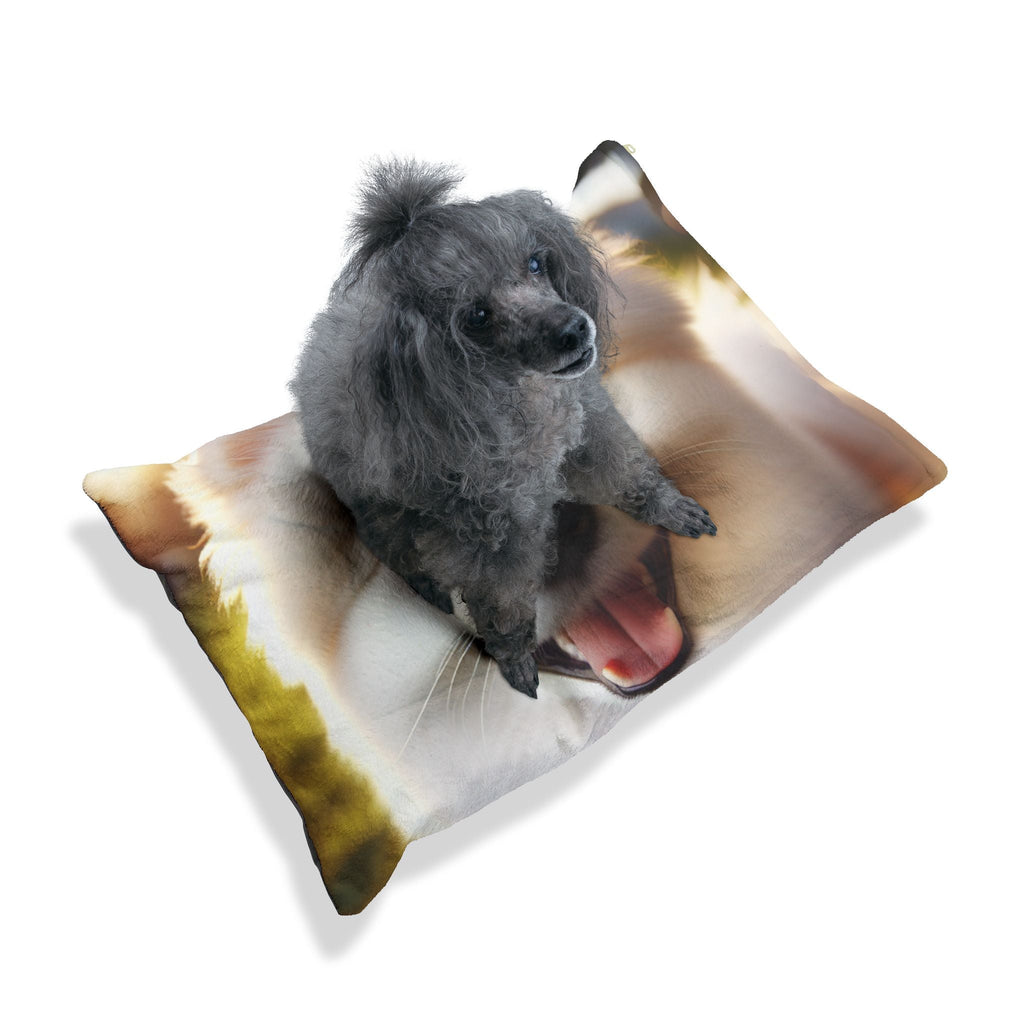 Pet Bed – Plush Dog Bed, 3 Size Options