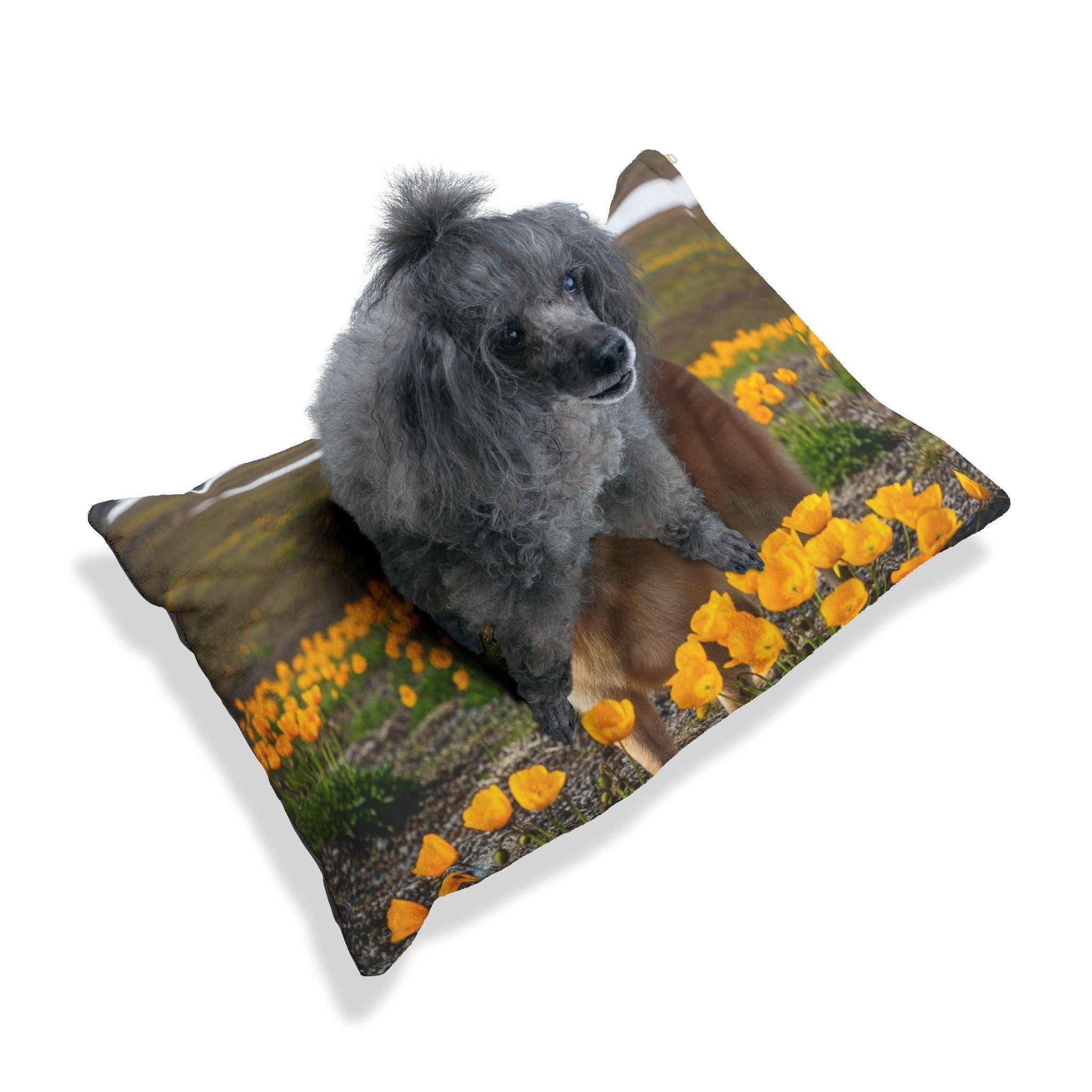 Pet Bed – Plush Dog Bed, 3 Size Options