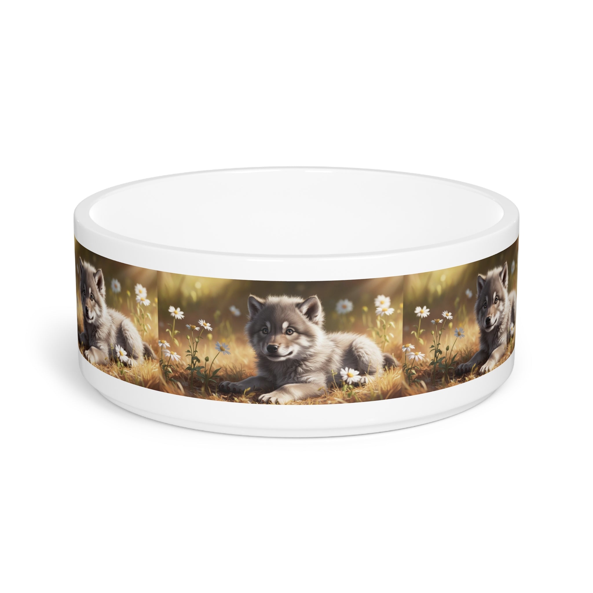 Ceramic Pet Bowl – 16 oz Dog Feeding Bowl