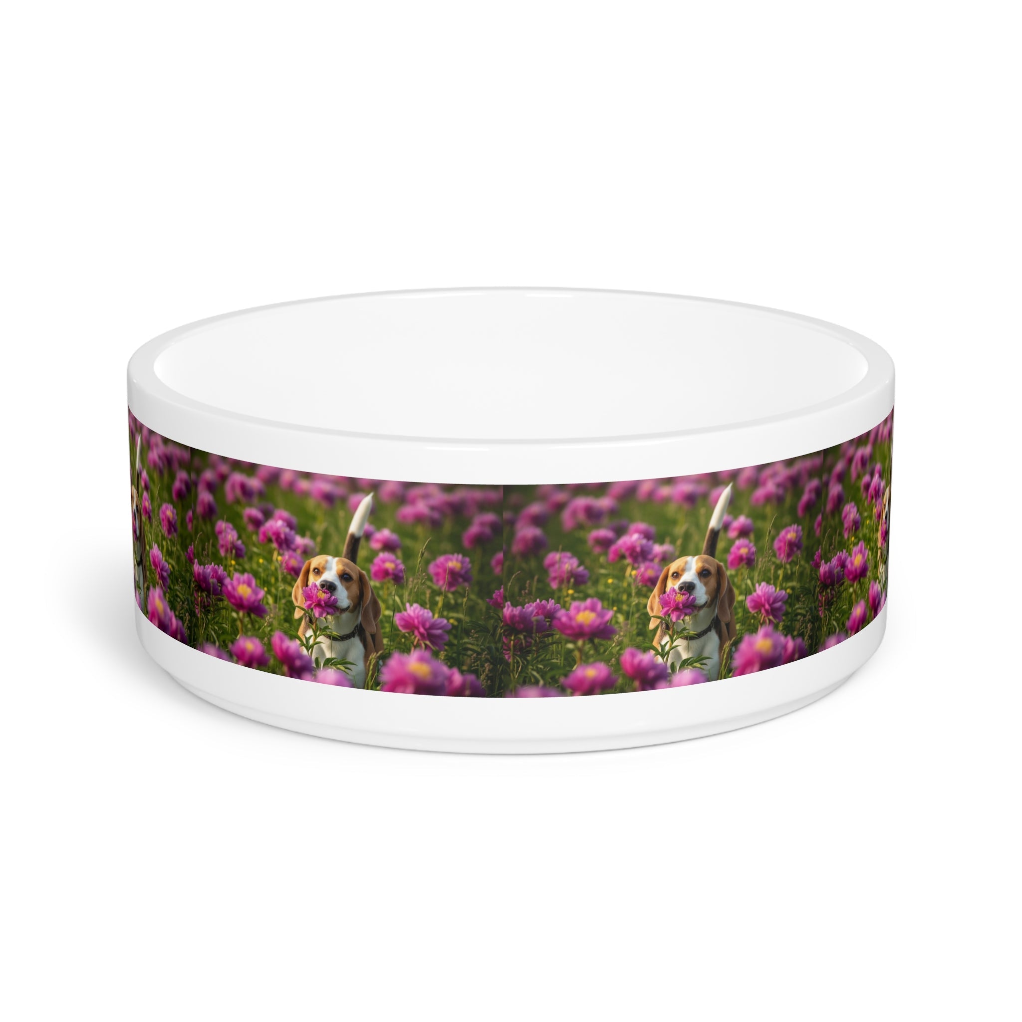 Ceramic Pet Bowl – 16 oz Dog Feeding Bowl