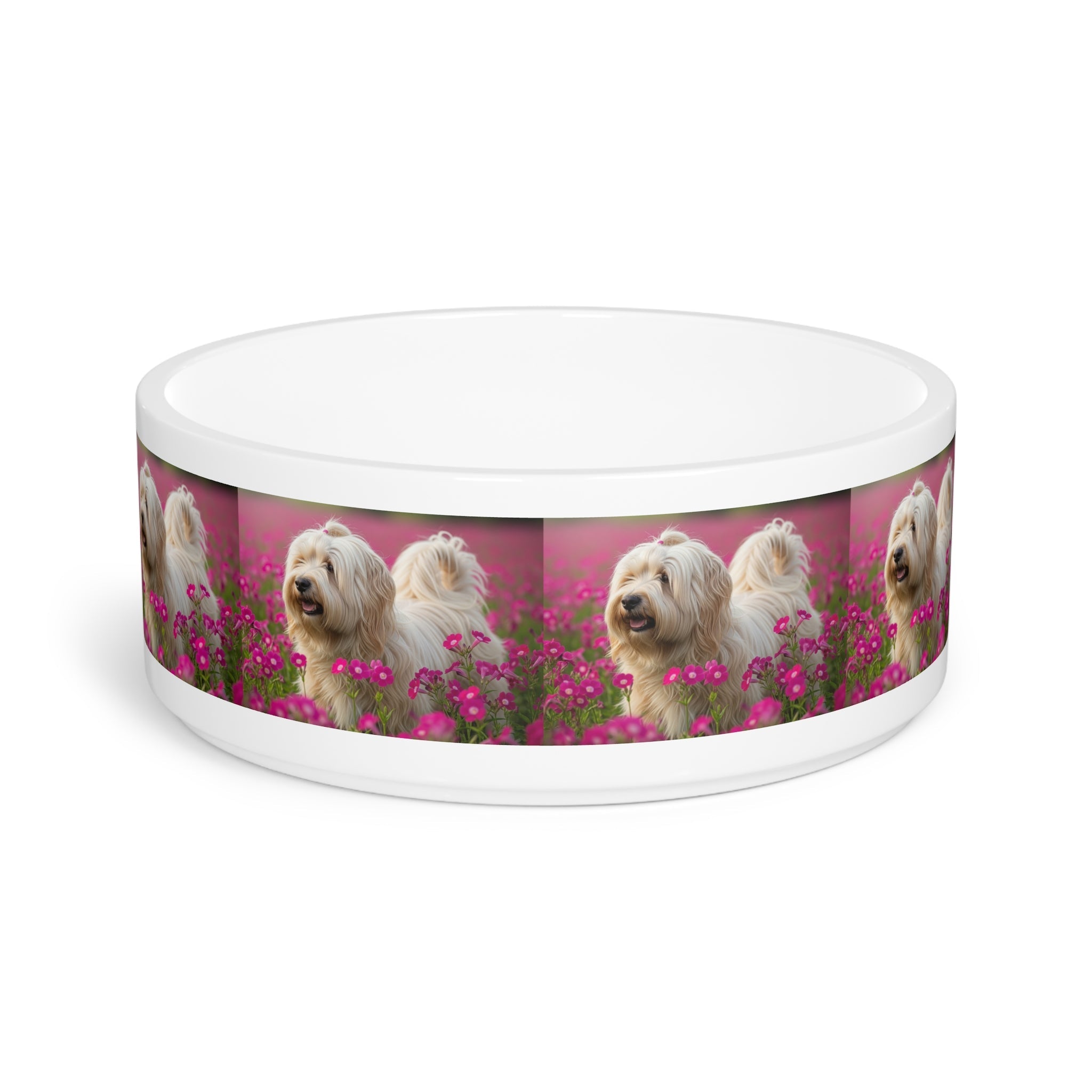 Ceramic Pet Bowl – 16 oz Dog Feeding Bowl