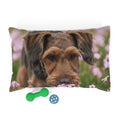 Pet Bed – Plush Dog Bed, 3 Size Options