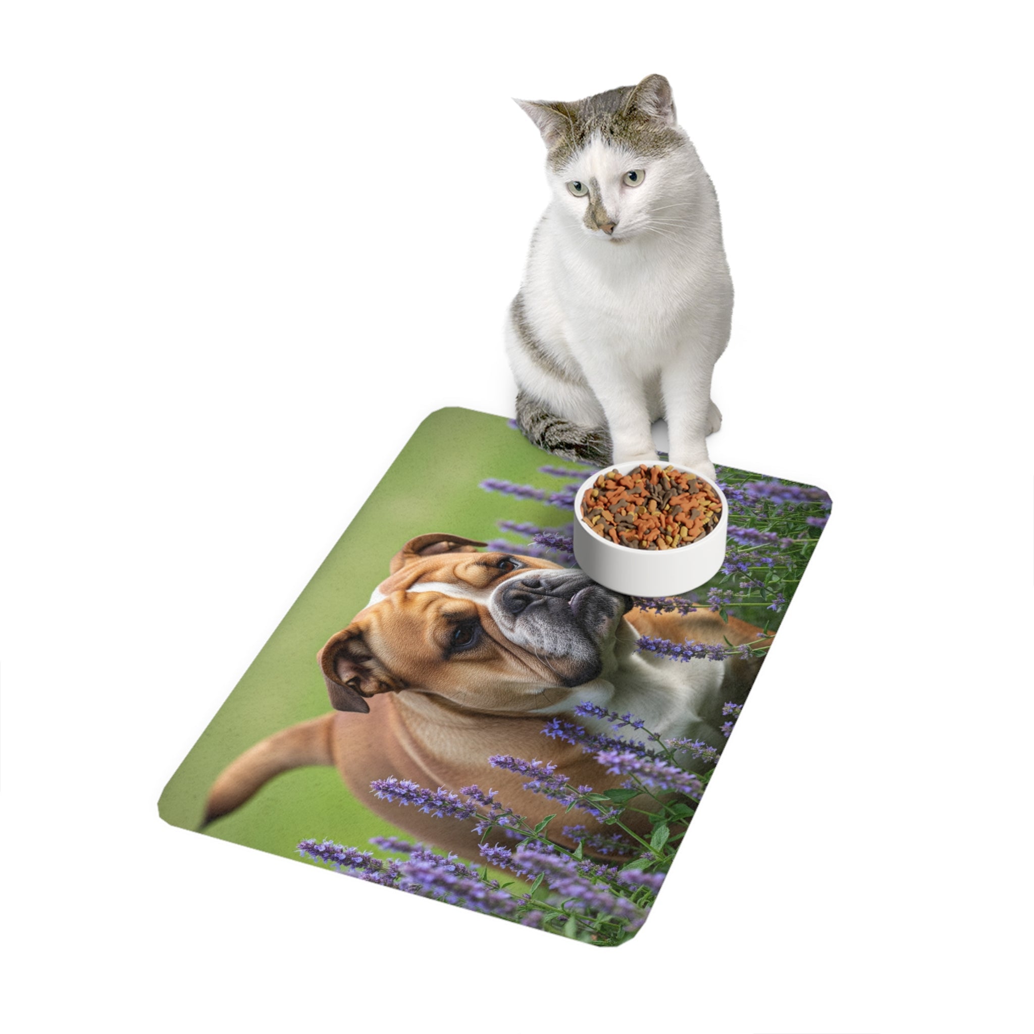 Non-Slip Pet Food Mat – Waterproof Feeding Mat for Dogs