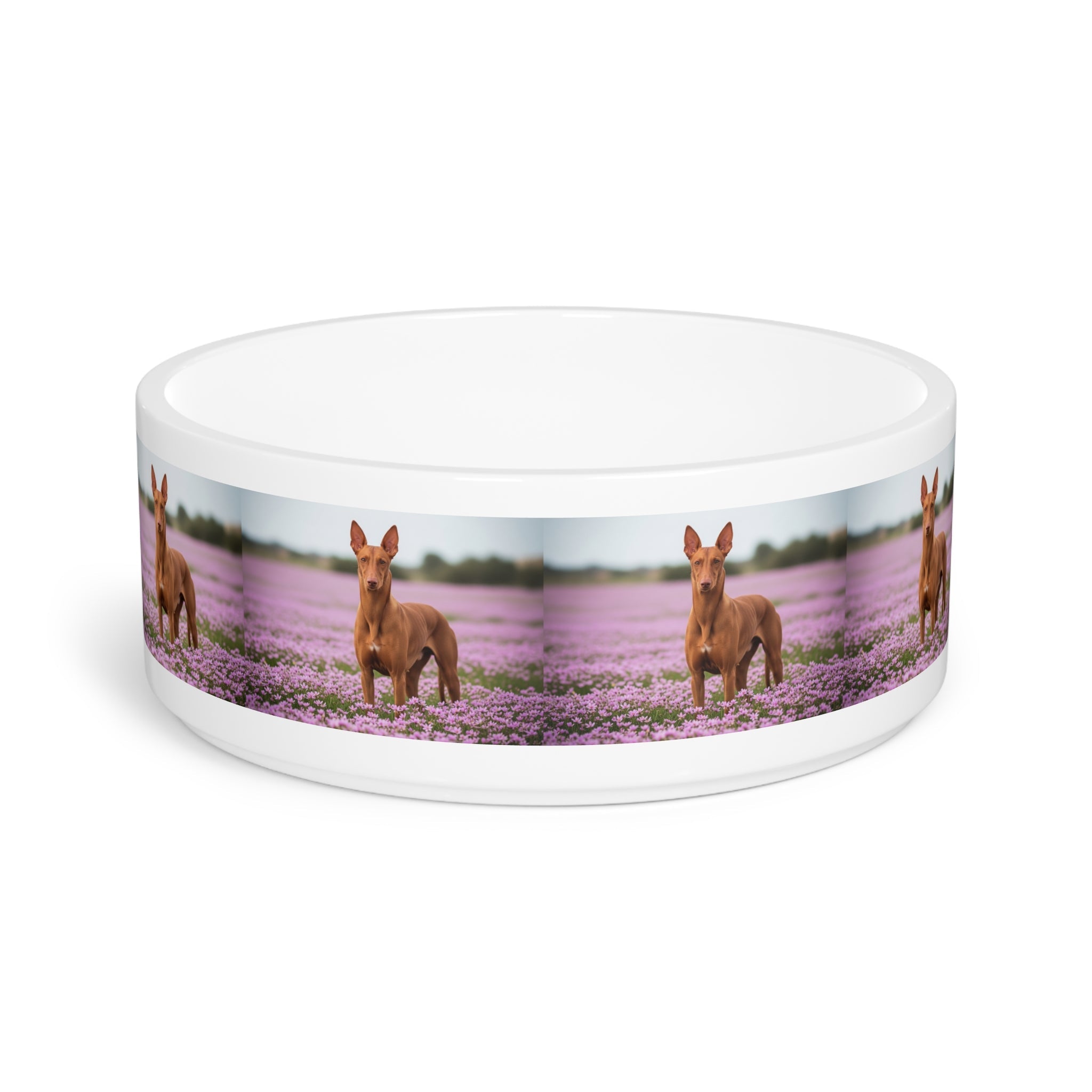 Ceramic Pet Bowl – 16 oz Dog Feeding Bowl