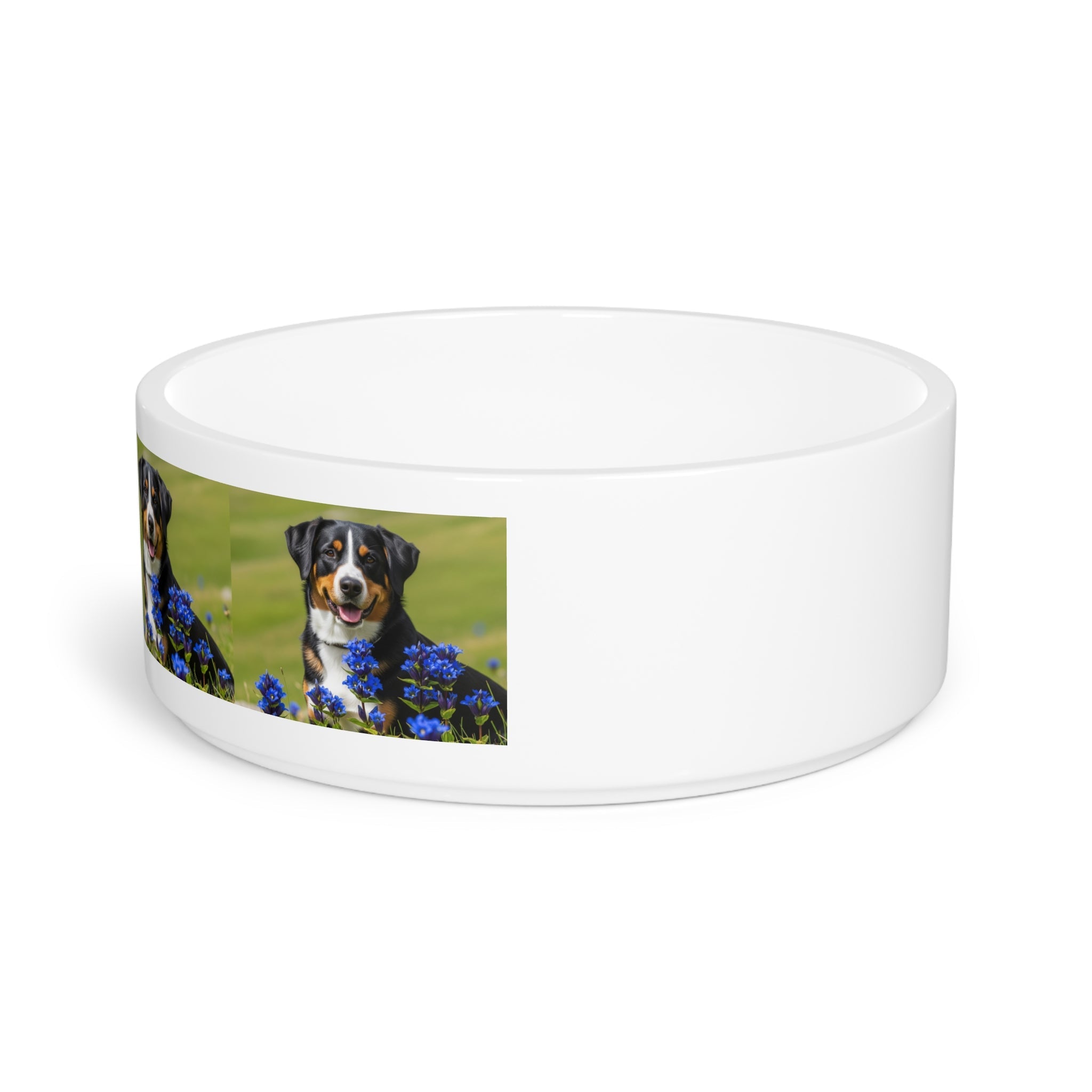 Ceramic Pet Bowl – 16 oz Dog Feeding Bowl