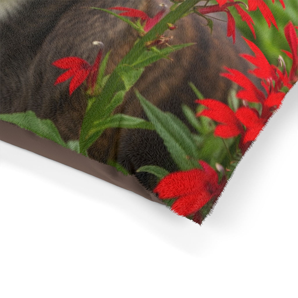 Pet Bed – Plush Dog Bed, 3 Size Options