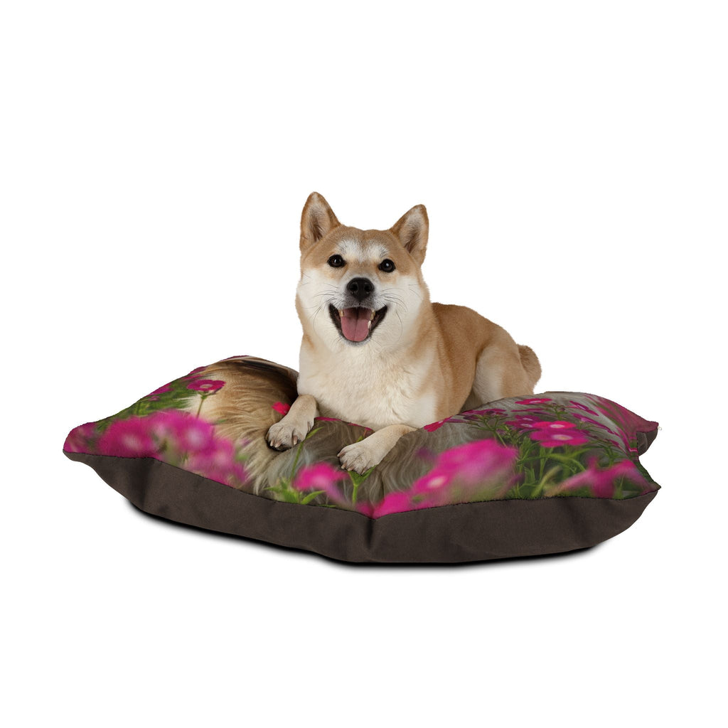Pet Bed – Plush Dog Bed, 3 Size Options