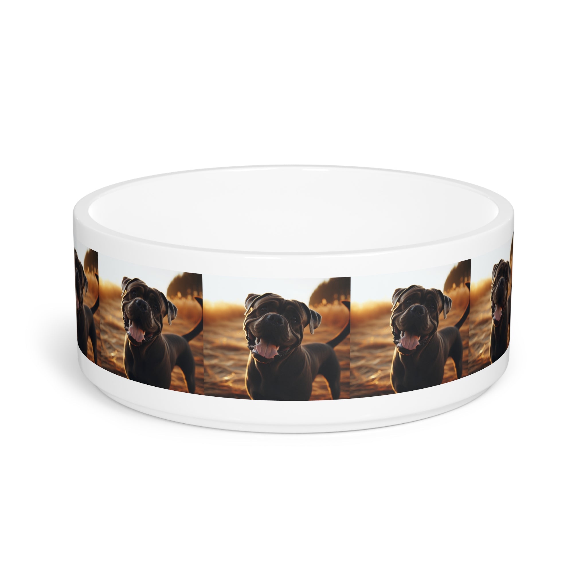Ceramic Pet Bowl – 16 oz Dog Feeding Bowl