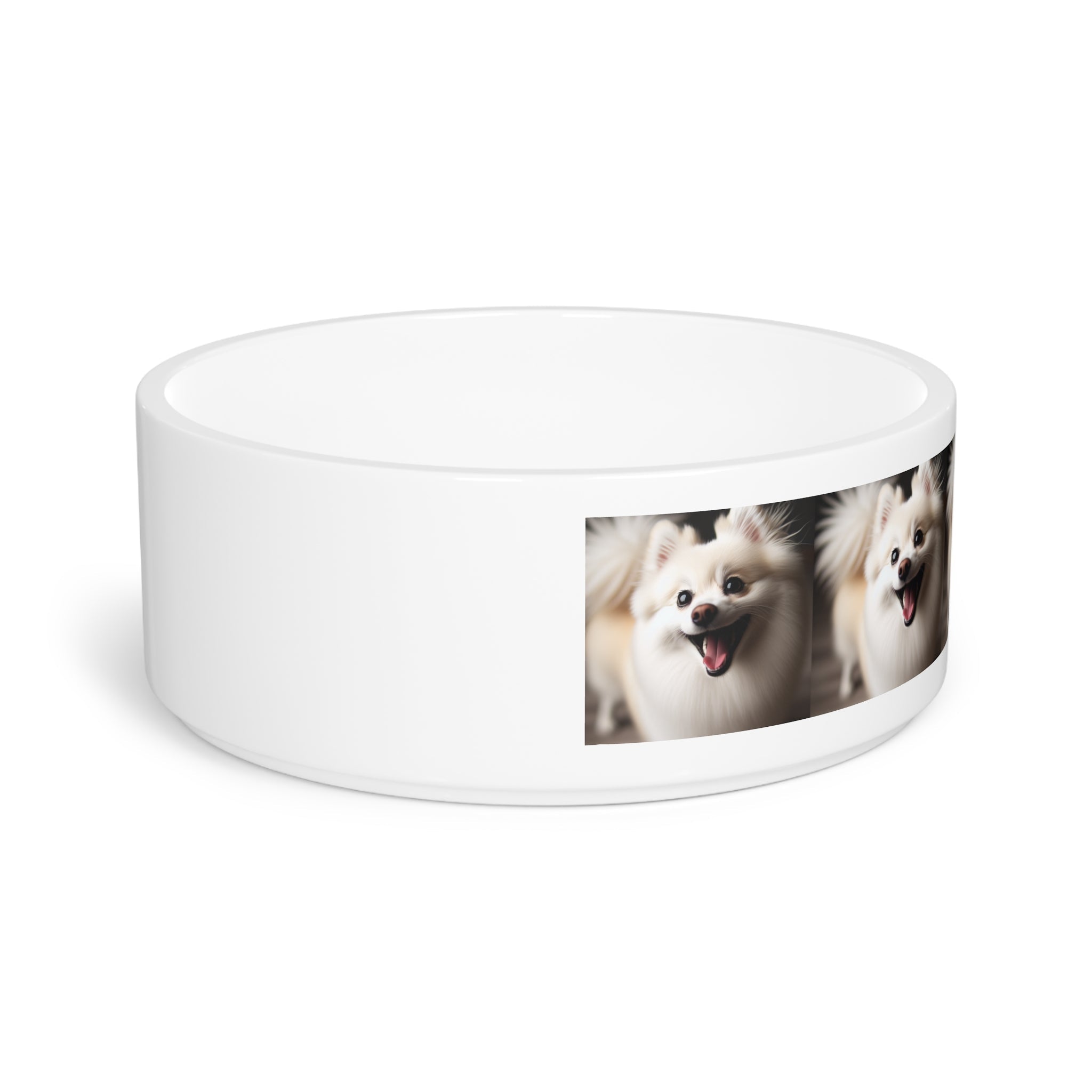 Ceramic Pet Bowl – 16 oz Dog Feeding Bowl