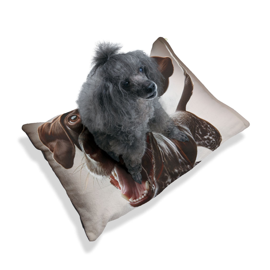 Pet Bed – Plush Dog Bed, 3 Size Options