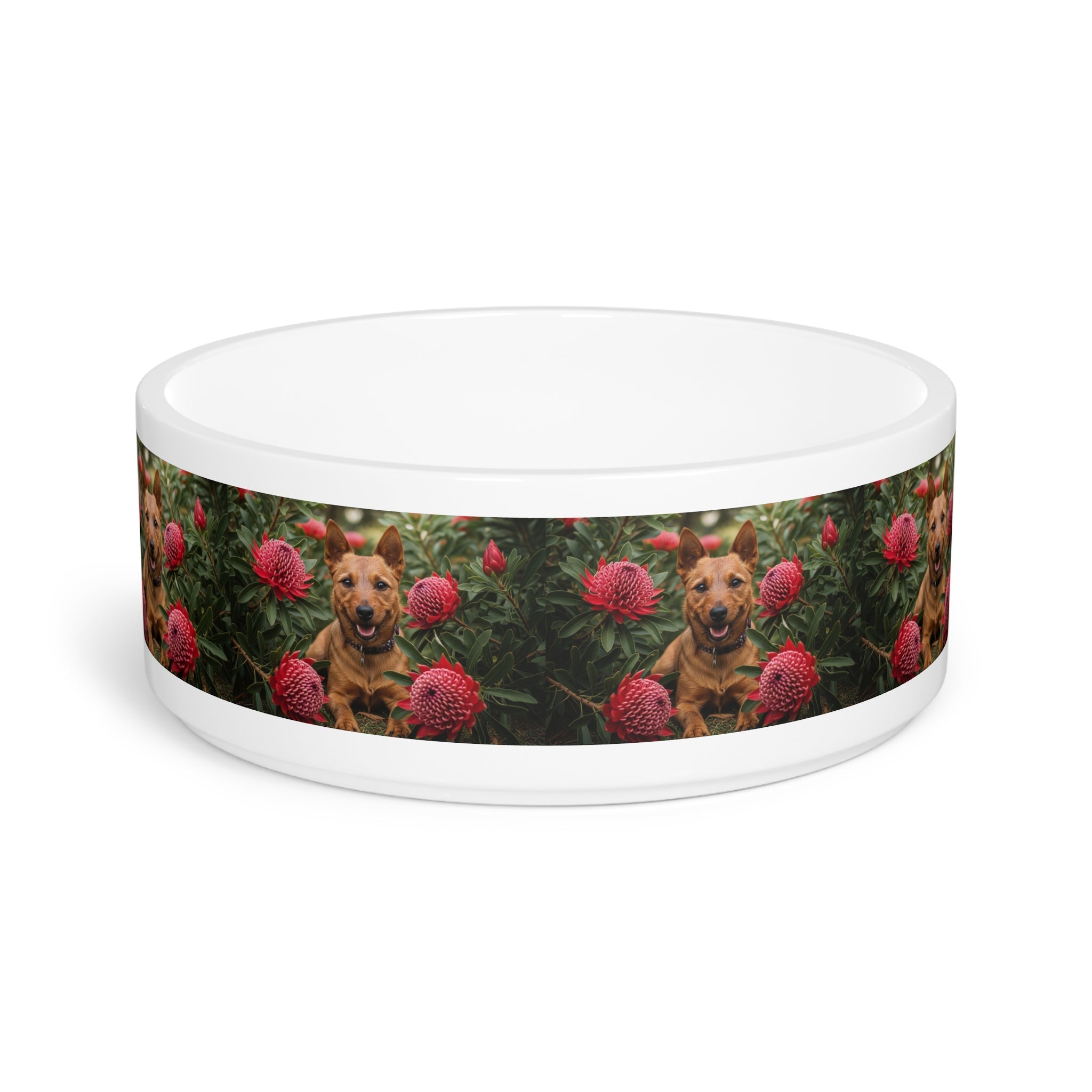 Ceramic Pet Bowl – 16 oz Dog Feeding Bowl