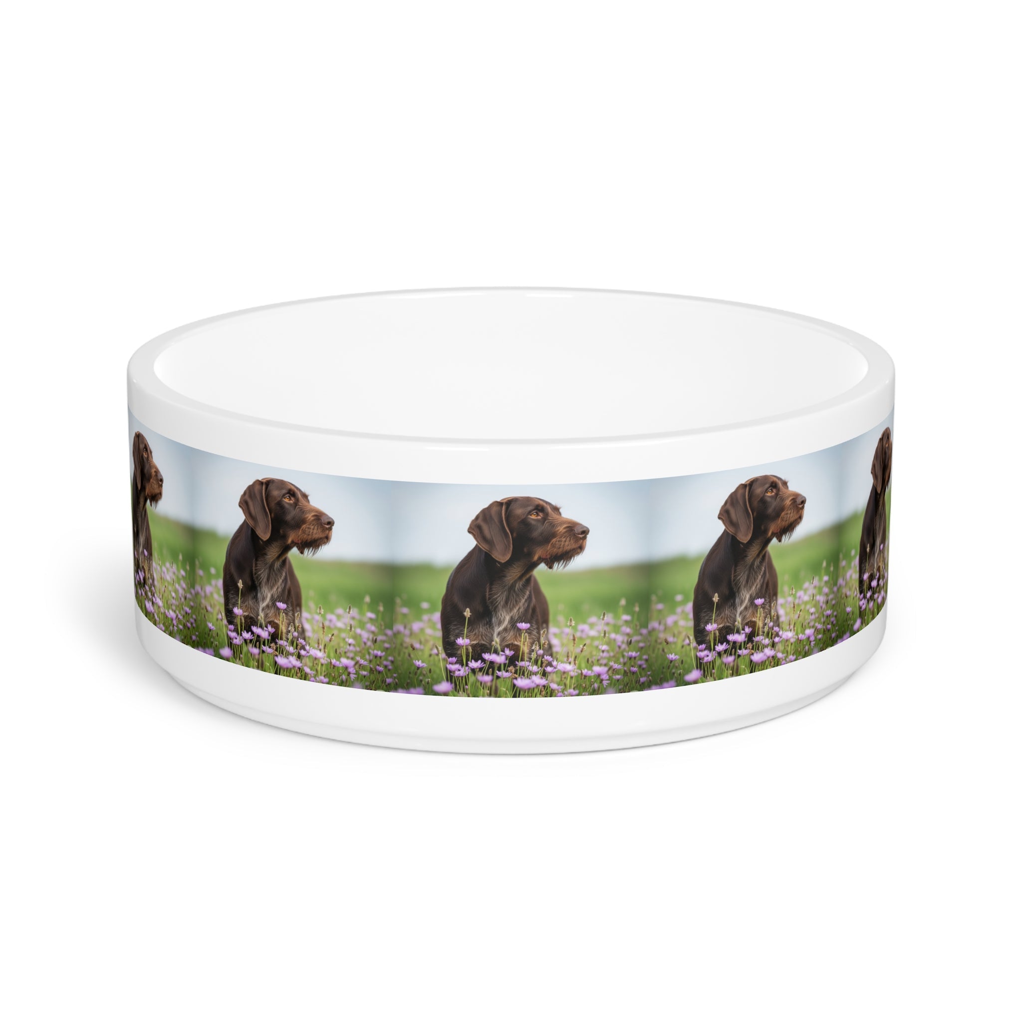Ceramic Pet Bowl – 16 oz Dog Feeding Bowl
