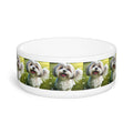 Ceramic Pet Bowl – 16 oz Dog Feeding Bowl