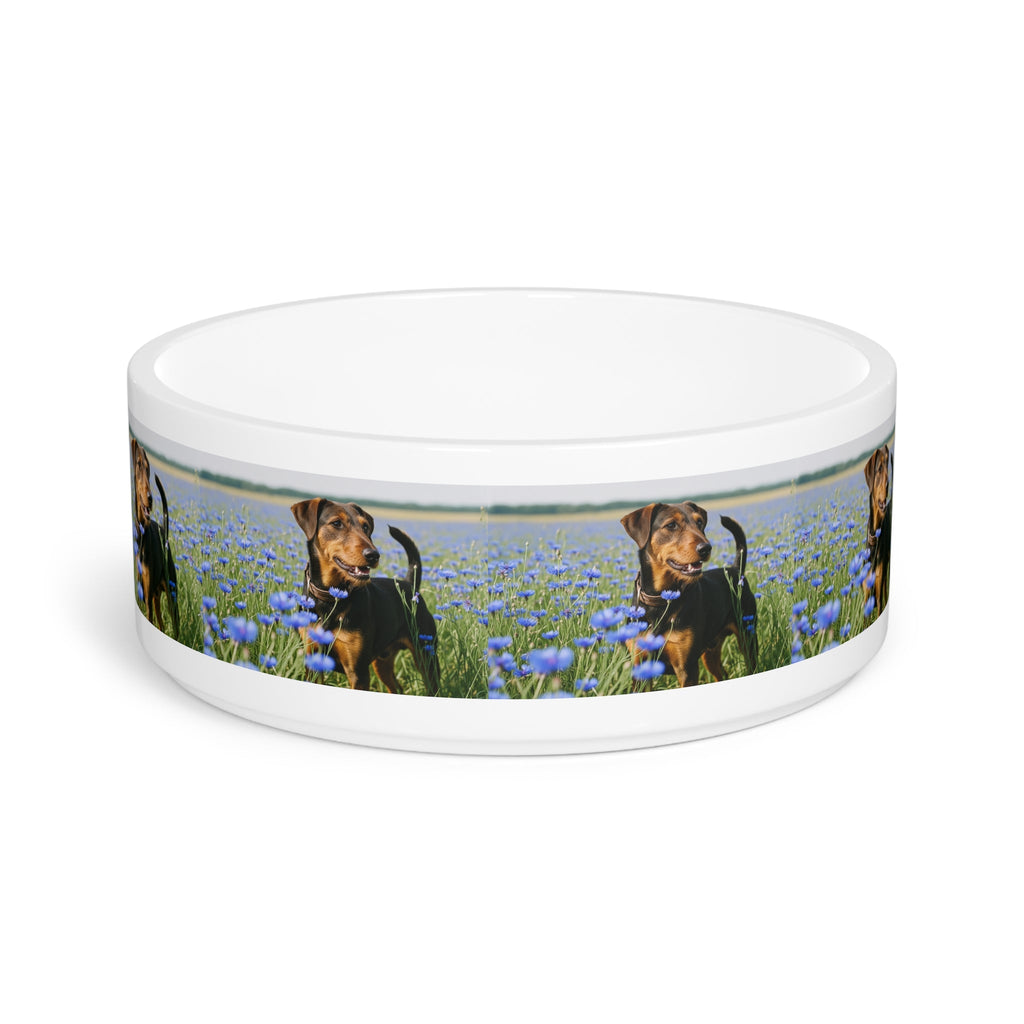 Ceramic Pet Bowl – 16 oz Dog Feeding Bowl