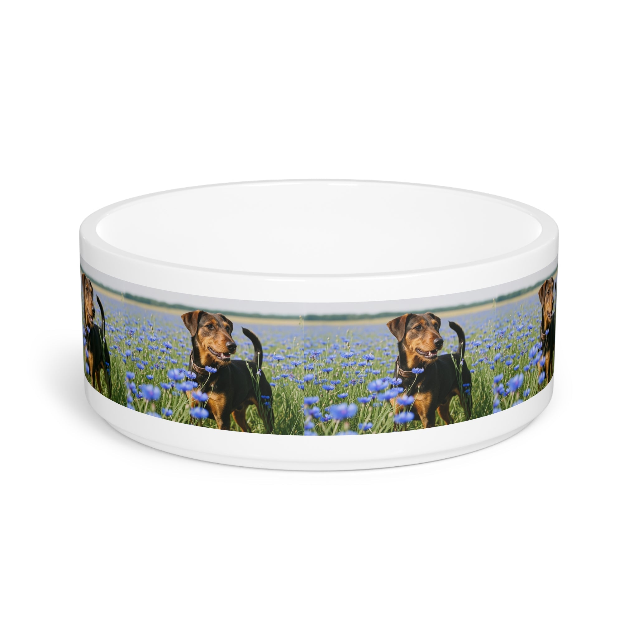 Ceramic Pet Bowl – 16 oz Dog Feeding Bowl