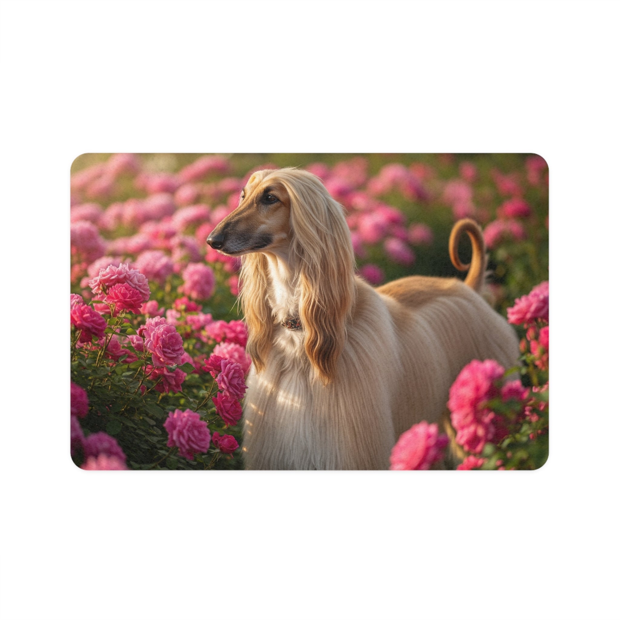 Non-Slip Pet Food Mat – Waterproof Feeding Mat for Dogs