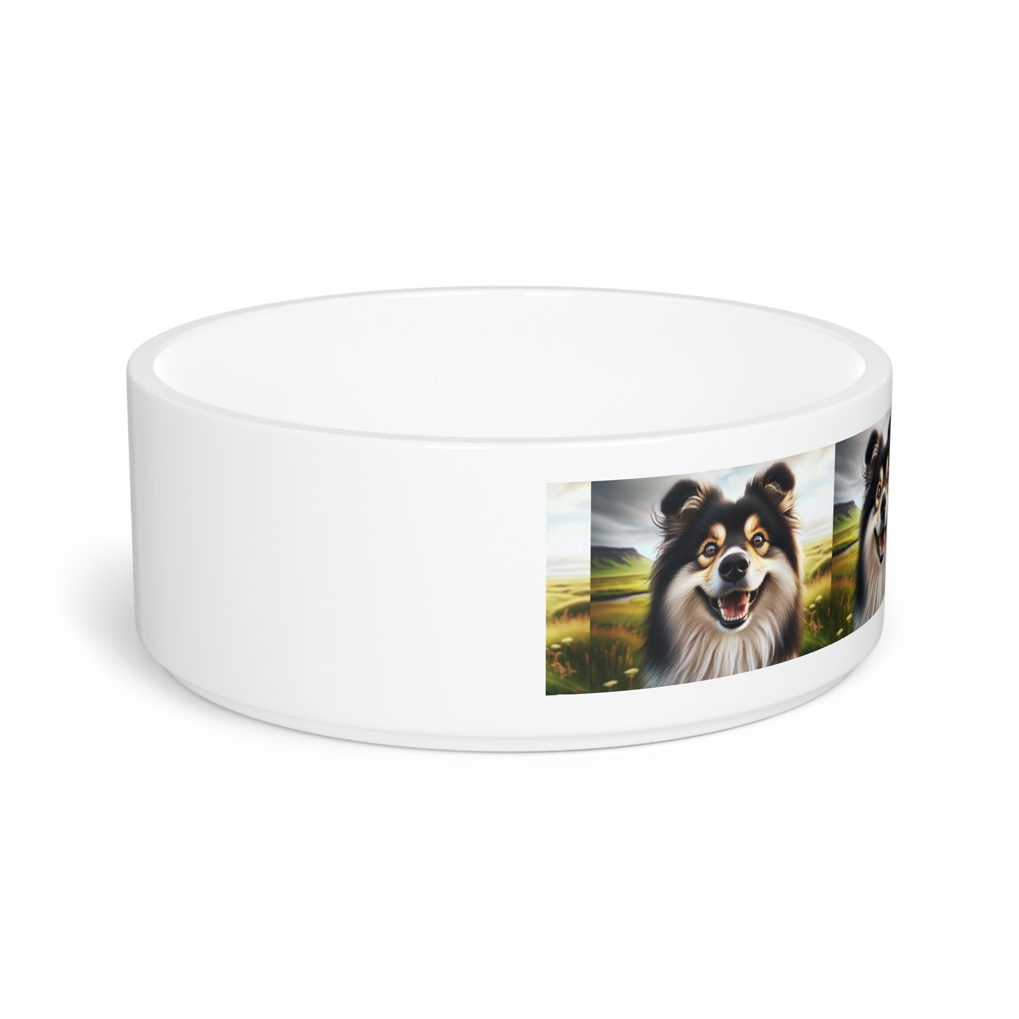 Ceramic Pet Bowl – 16 oz Dog Feeding Bowl