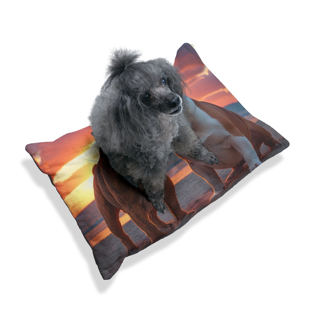 Pet Bed – Plush Dog Bed, 3 Size Options