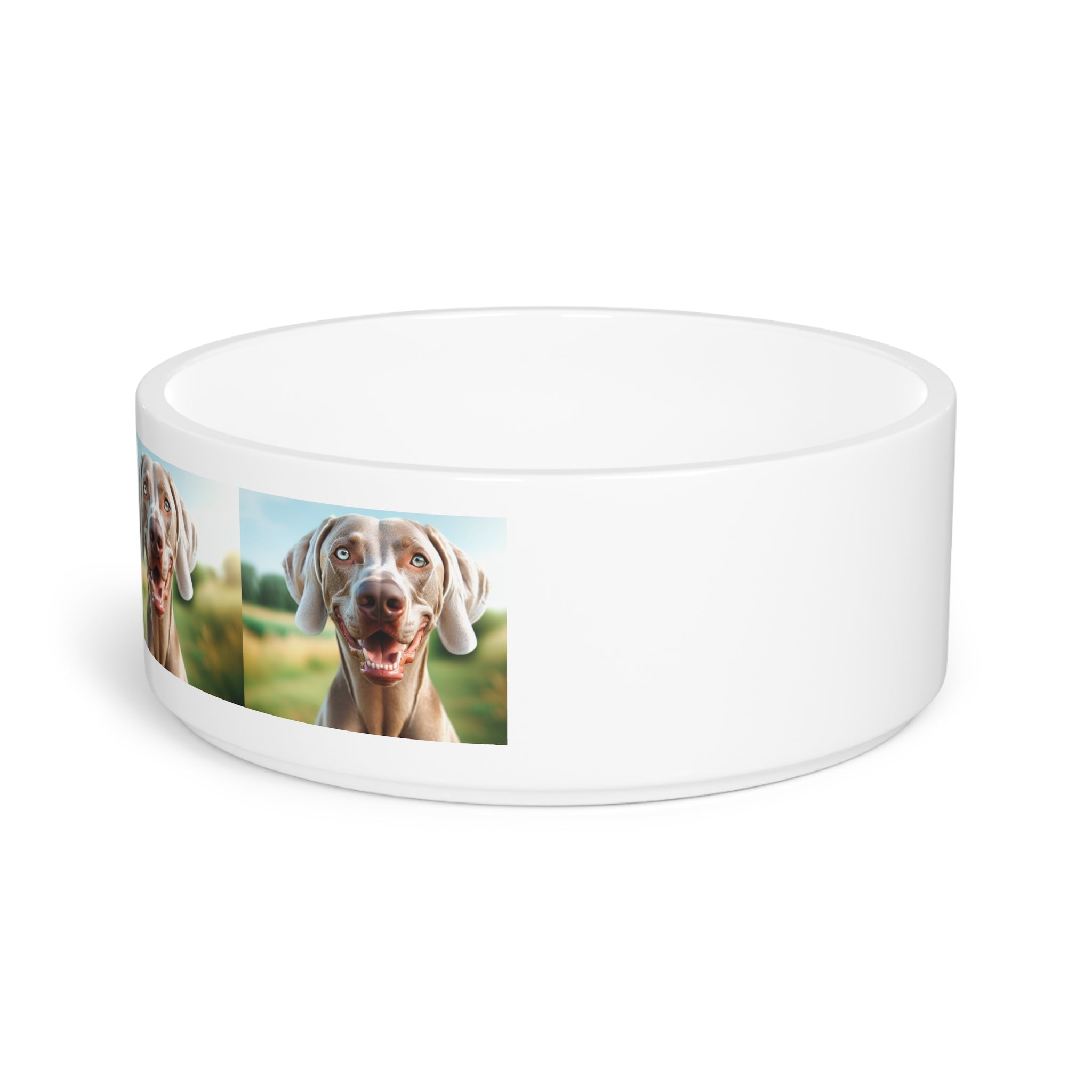 Ceramic Pet Bowl – 16 oz Dog Feeding Bowl