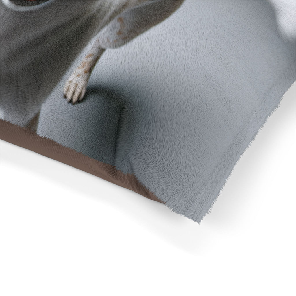 Pet Bed – Plush Dog Bed, 3 Size Options