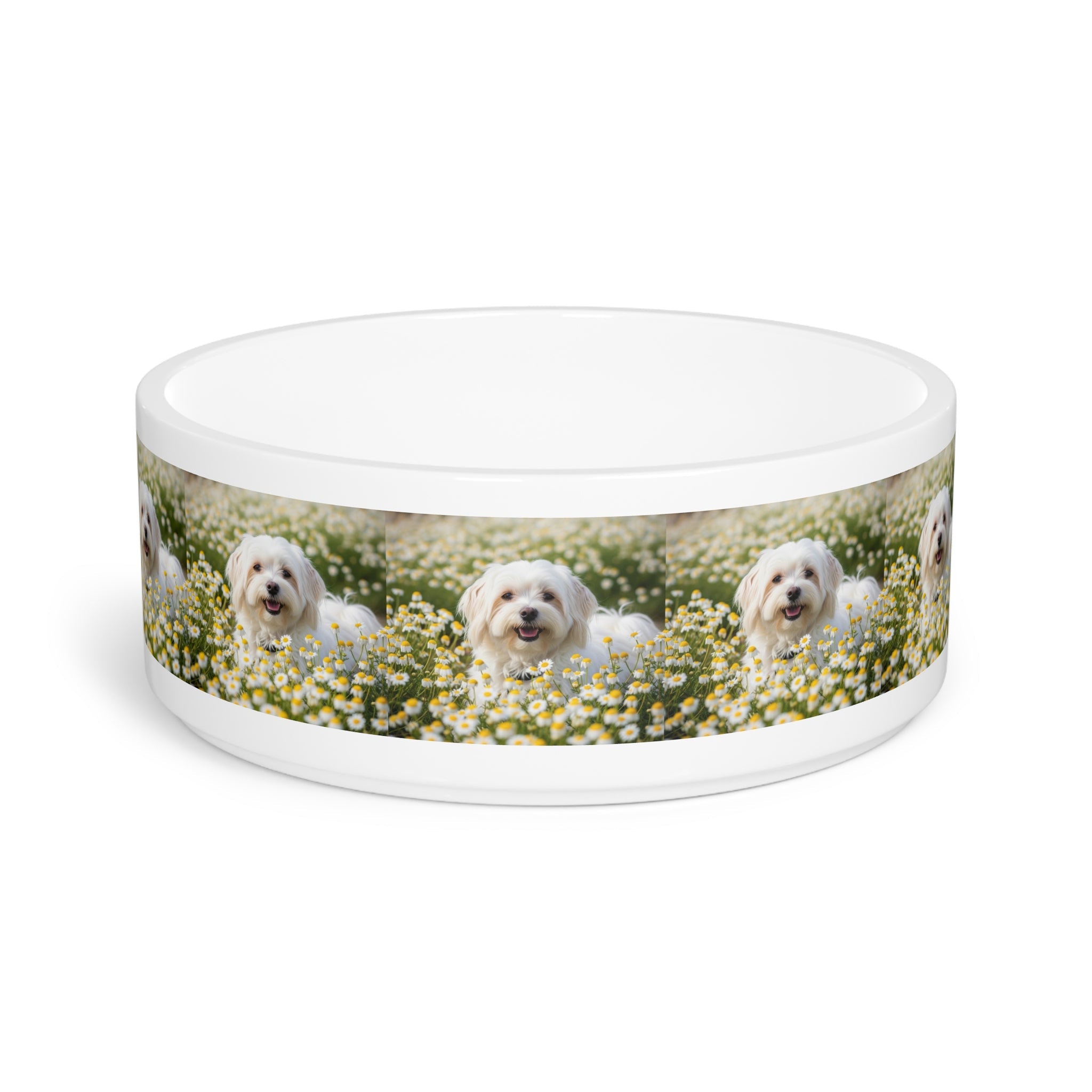 Ceramic Pet Bowl – 16 oz Dog Feeding Bowl
