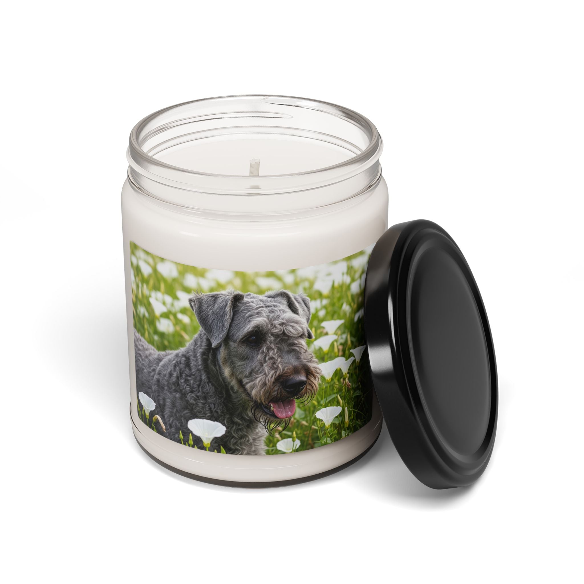 Soy Candle – Scented Jar Candle