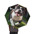 48" Semi-Automatic Umbrella – Windproof Large Travel Rain Umbrella