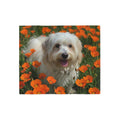 Sweatshirt Blanket – Plush Fleece Throw, 2 Size Options