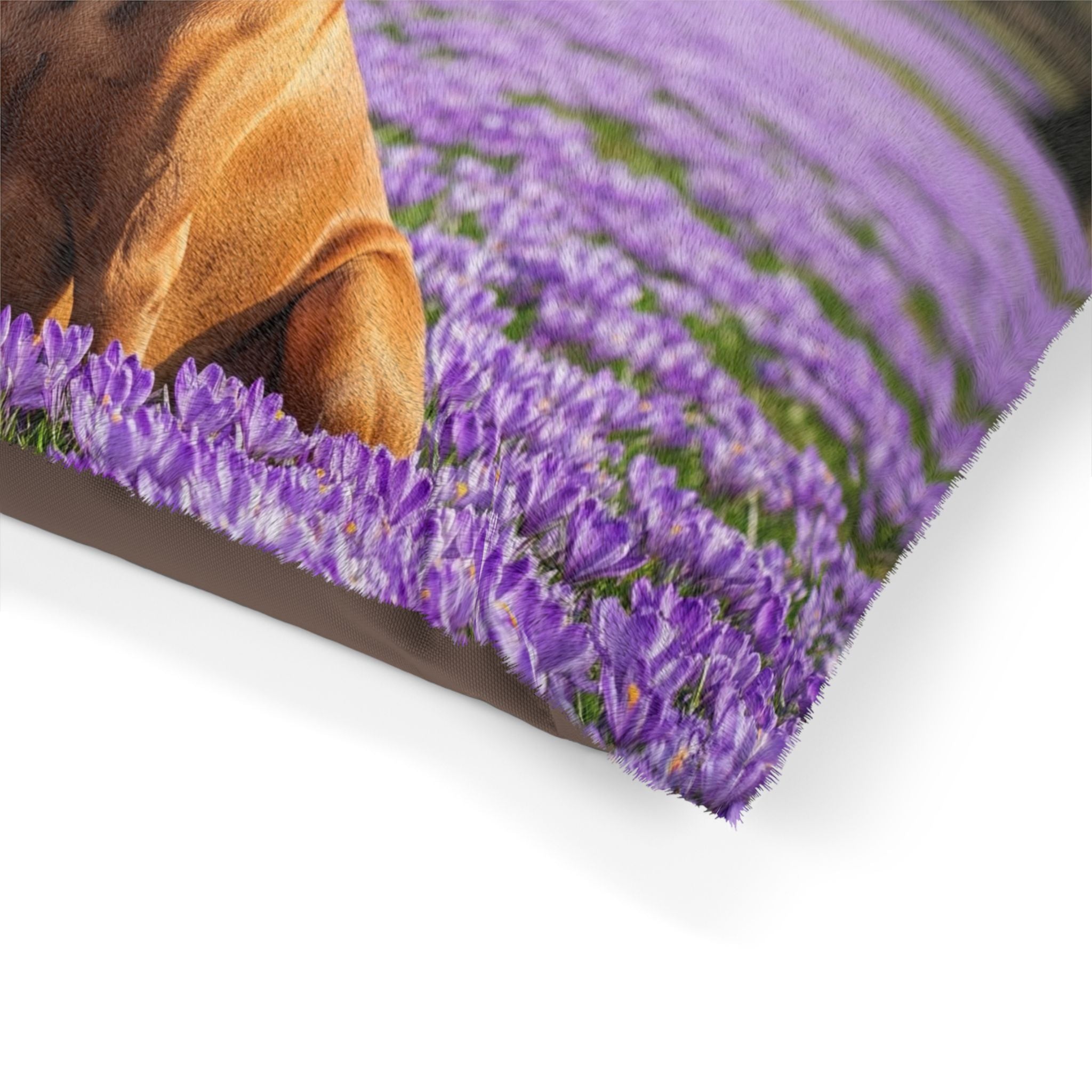 Pet Bed – Plush Dog Bed, 3 Size Options