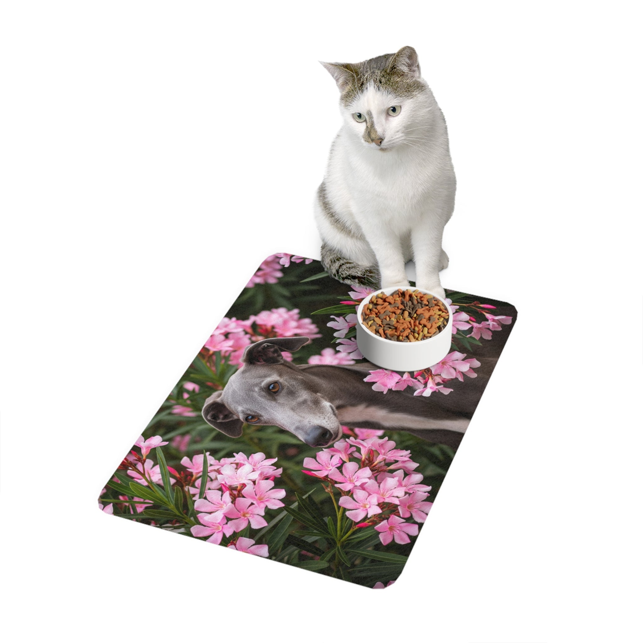 Non-Slip Pet Food Mat – Waterproof Feeding Mat for Dogs