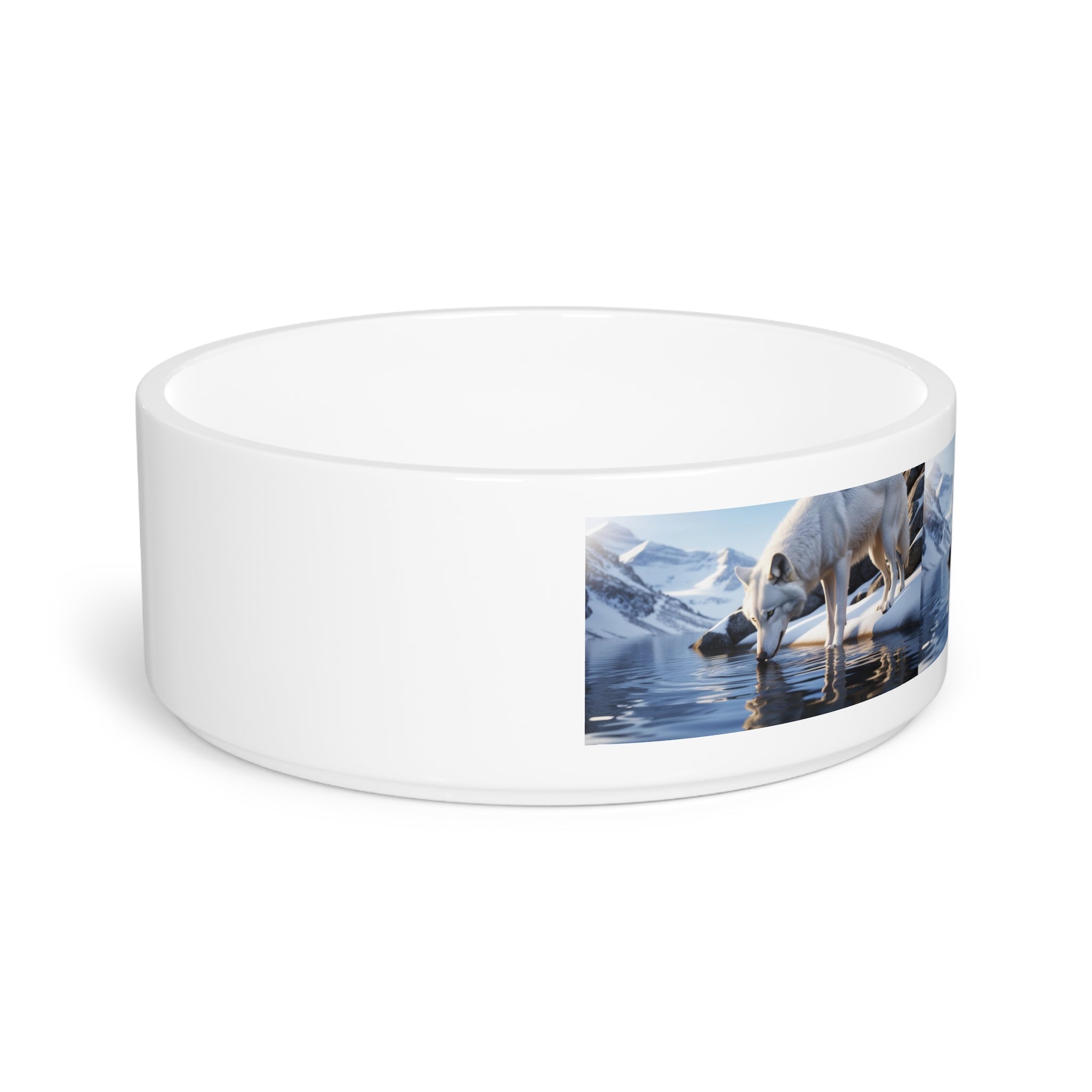 Ceramic Pet Bowl – 16 oz Dog Feeding Bowl