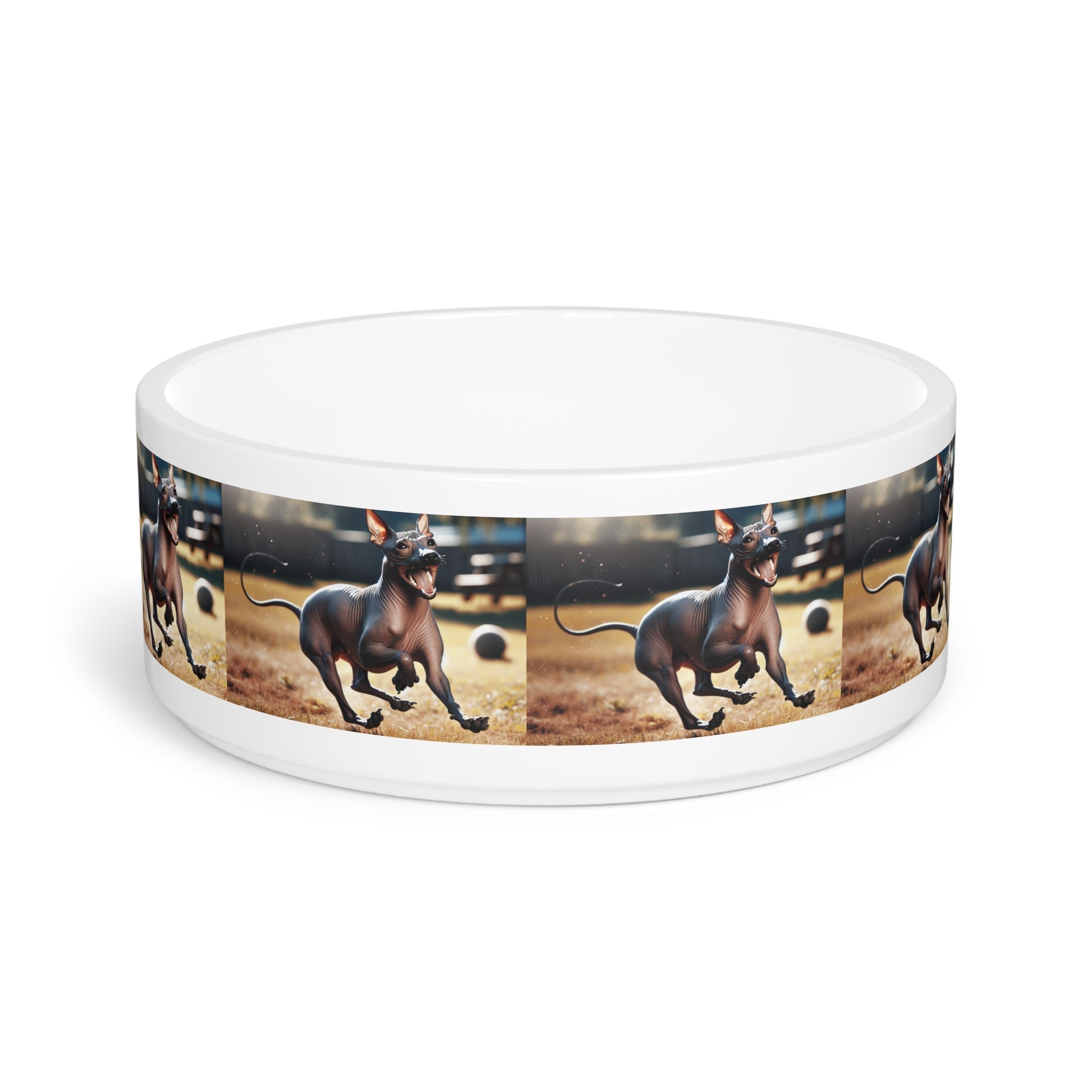 Ceramic Pet Bowl – 16 oz Dog Feeding Bowl