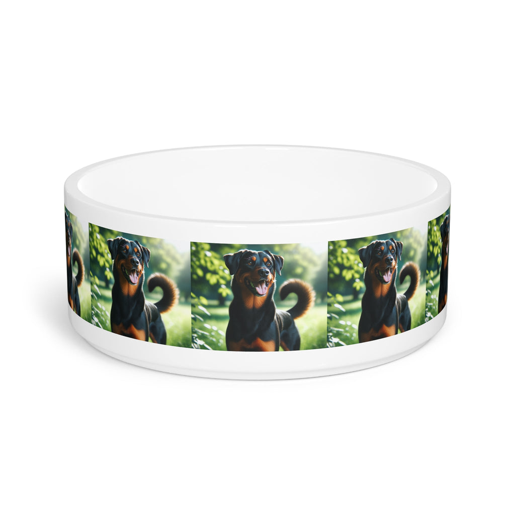 Ceramic Pet Bowl – 16 oz Dog Feeding Bowl