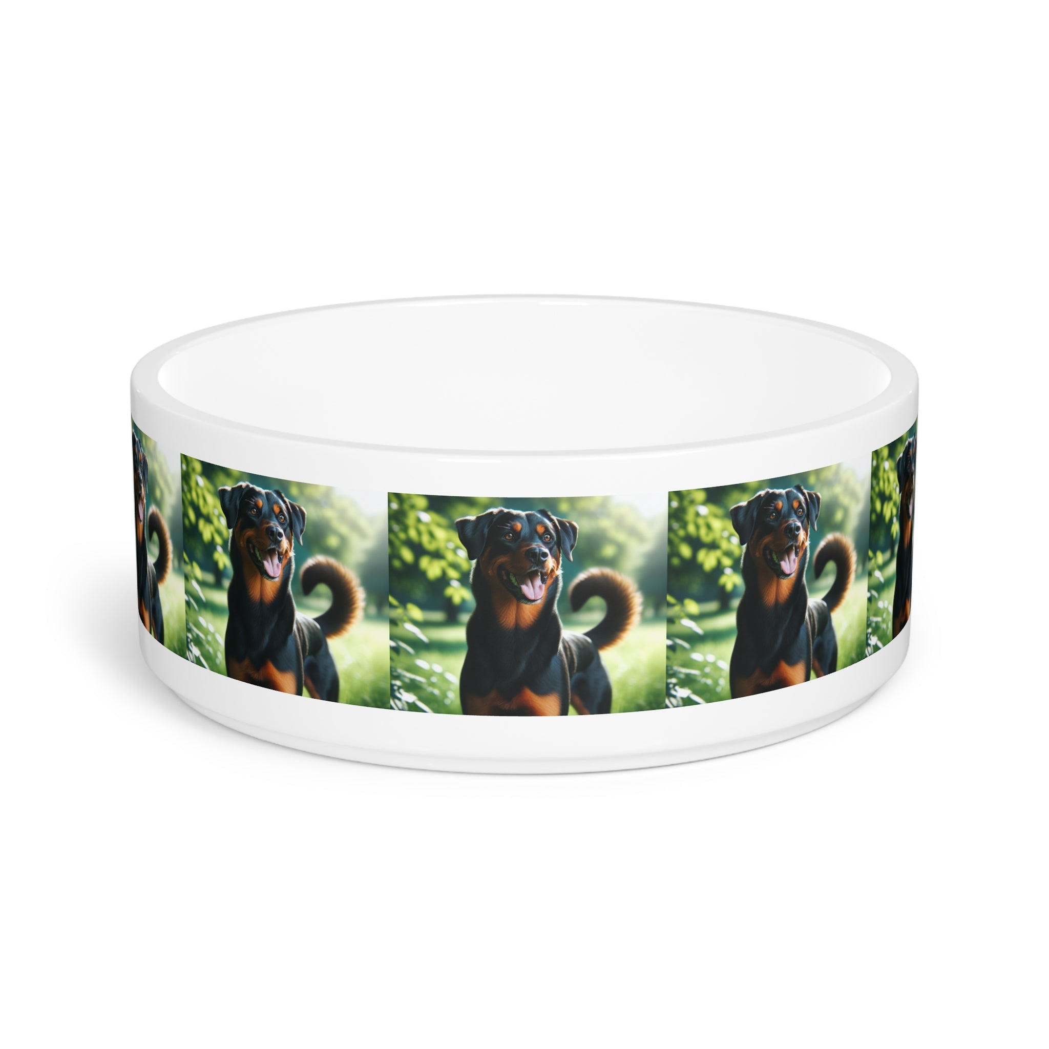 Ceramic Pet Bowl – 16 oz Dog Feeding Bowl
