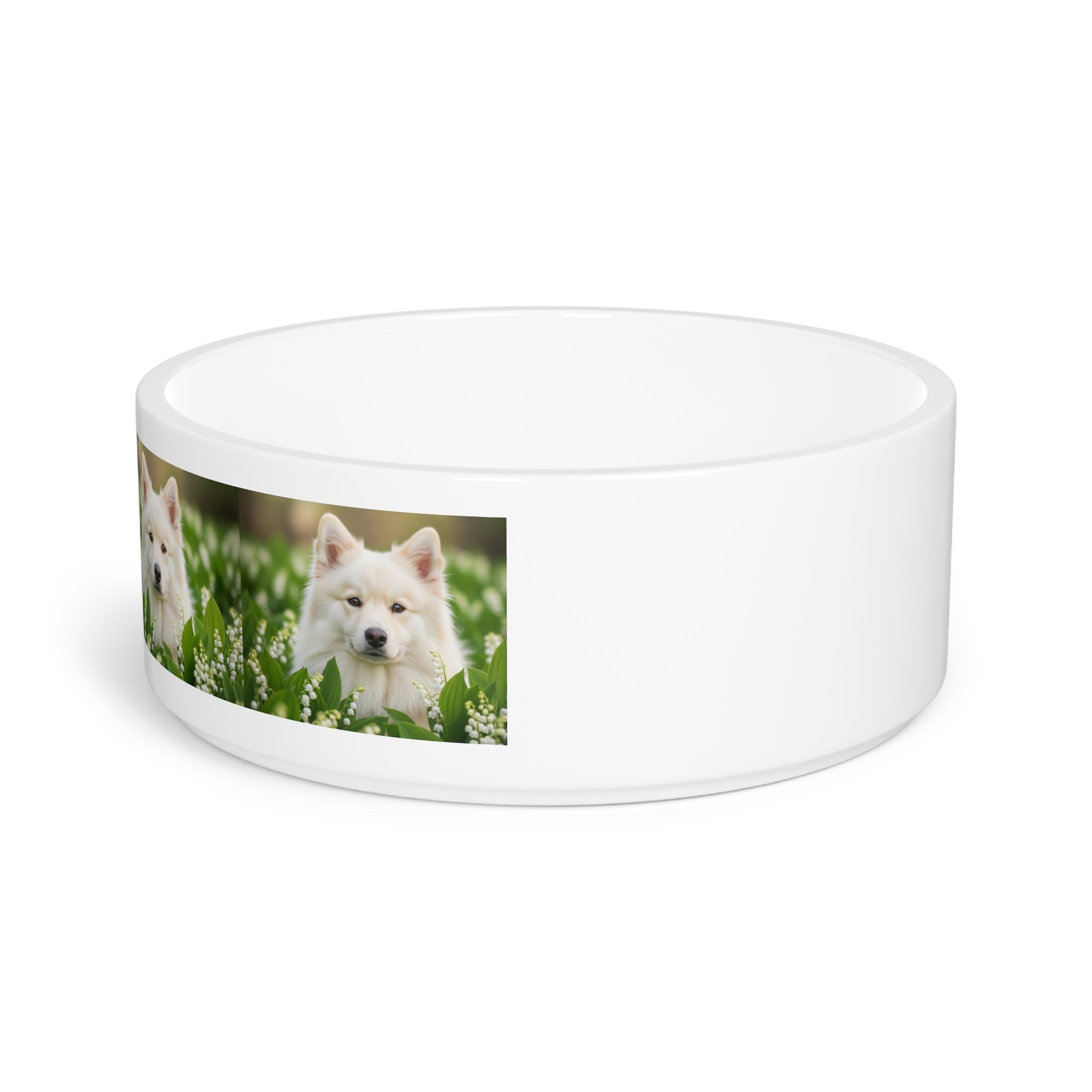 Ceramic Pet Bowl – 16 oz Dog Feeding Bowl