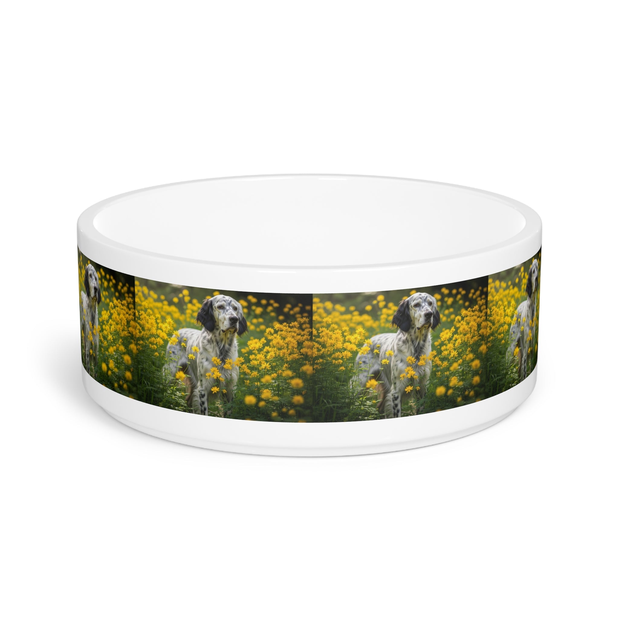 Ceramic Pet Bowl – 16 oz Dog Feeding Bowl