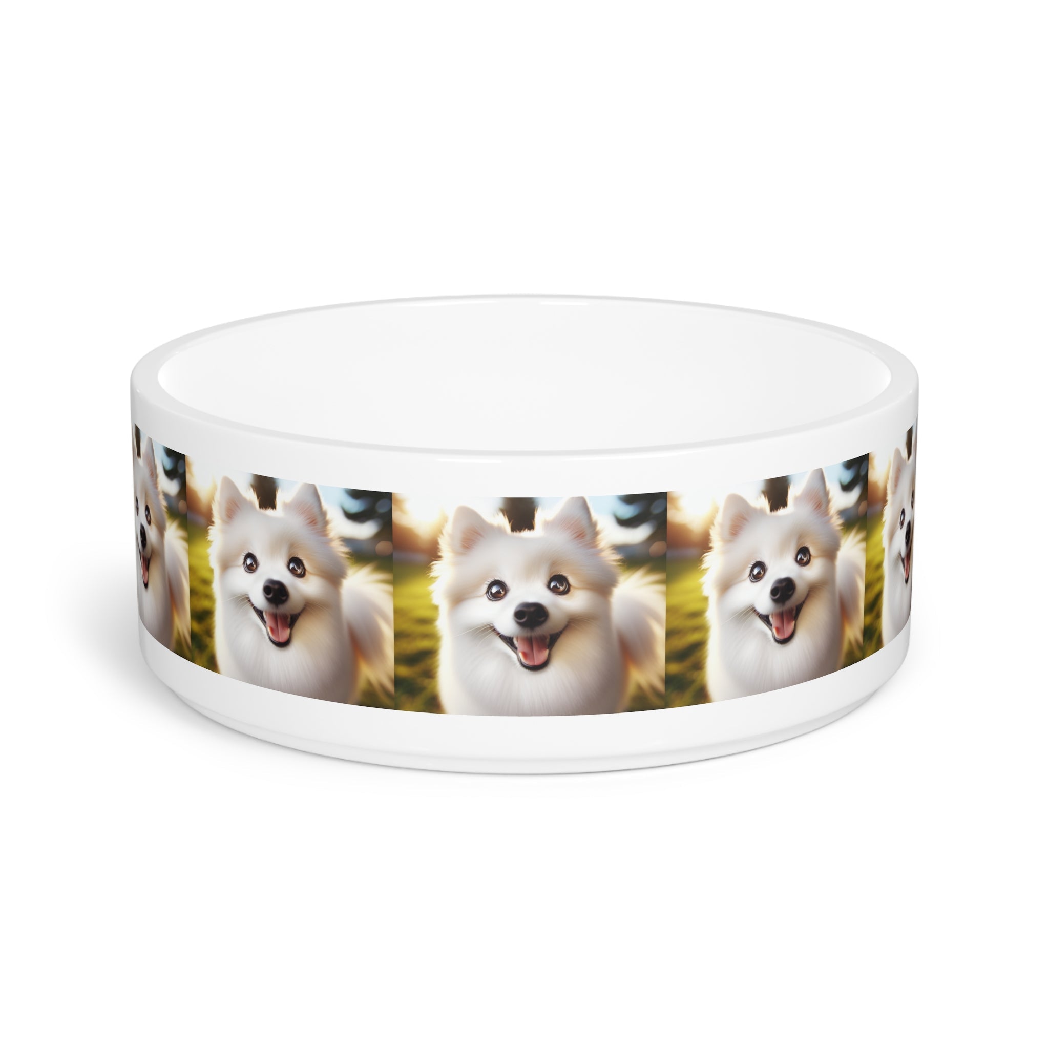 Ceramic Pet Bowl – 16 oz Dog Feeding Bowl