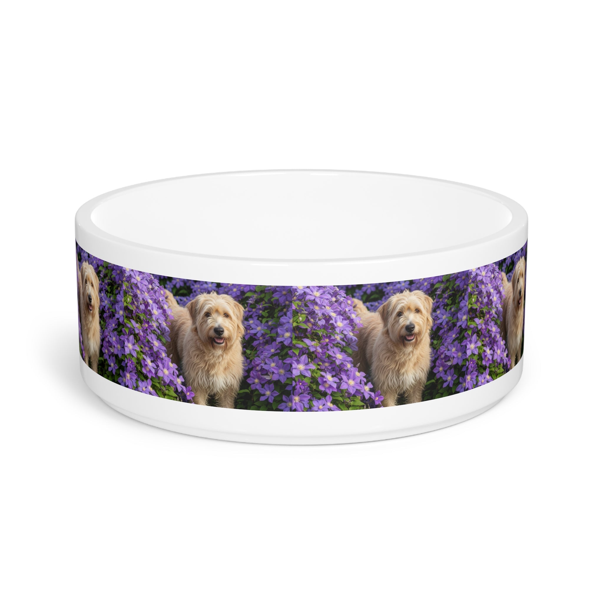 Ceramic Pet Bowl – 16 oz Dog Feeding Bowl