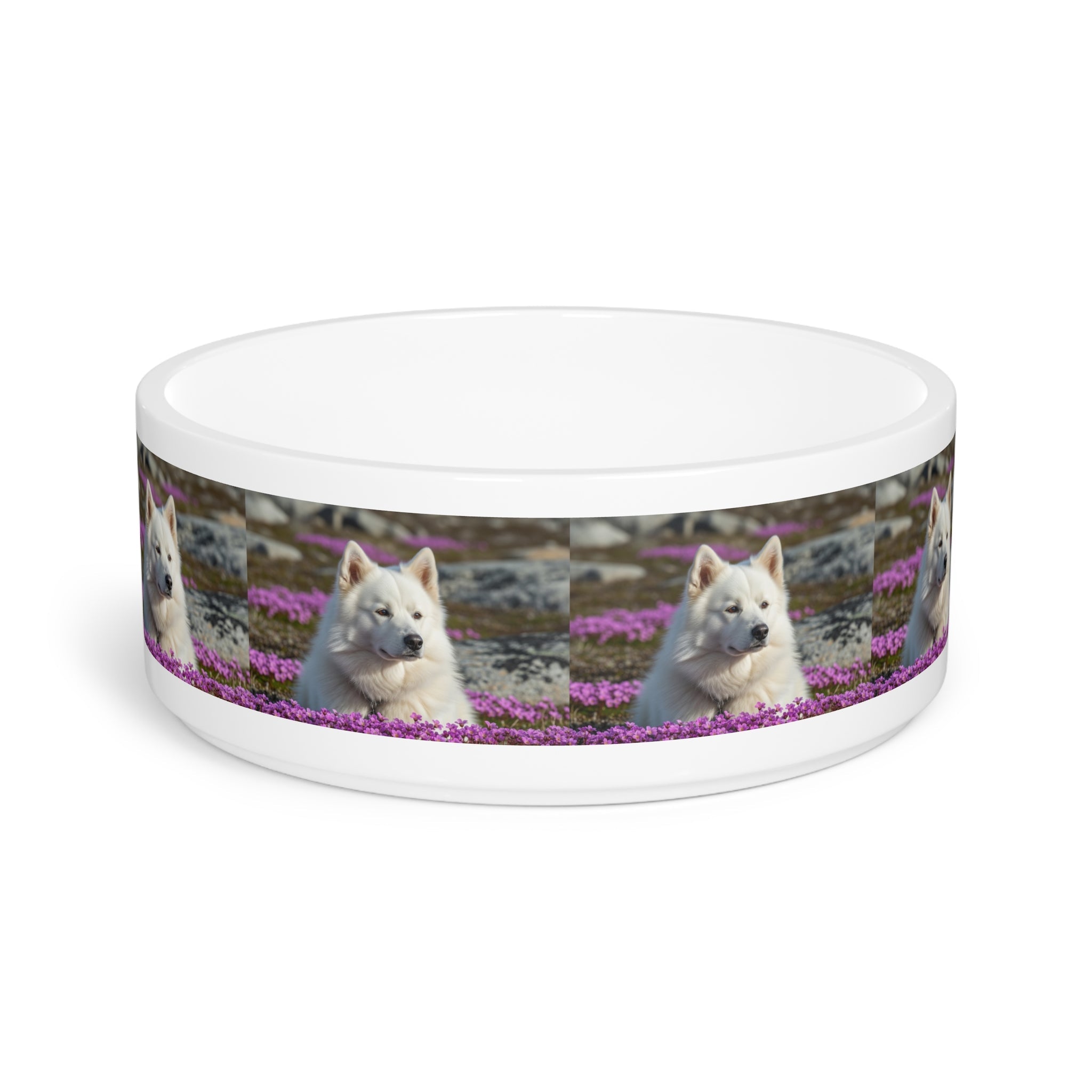 Ceramic Pet Bowl – 16 oz Dog Feeding Bowl