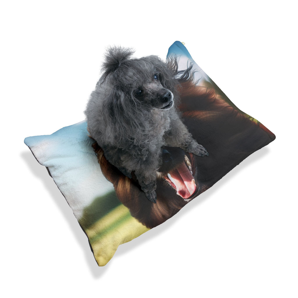 Pet Bed – Plush Dog Bed, 3 Size Options